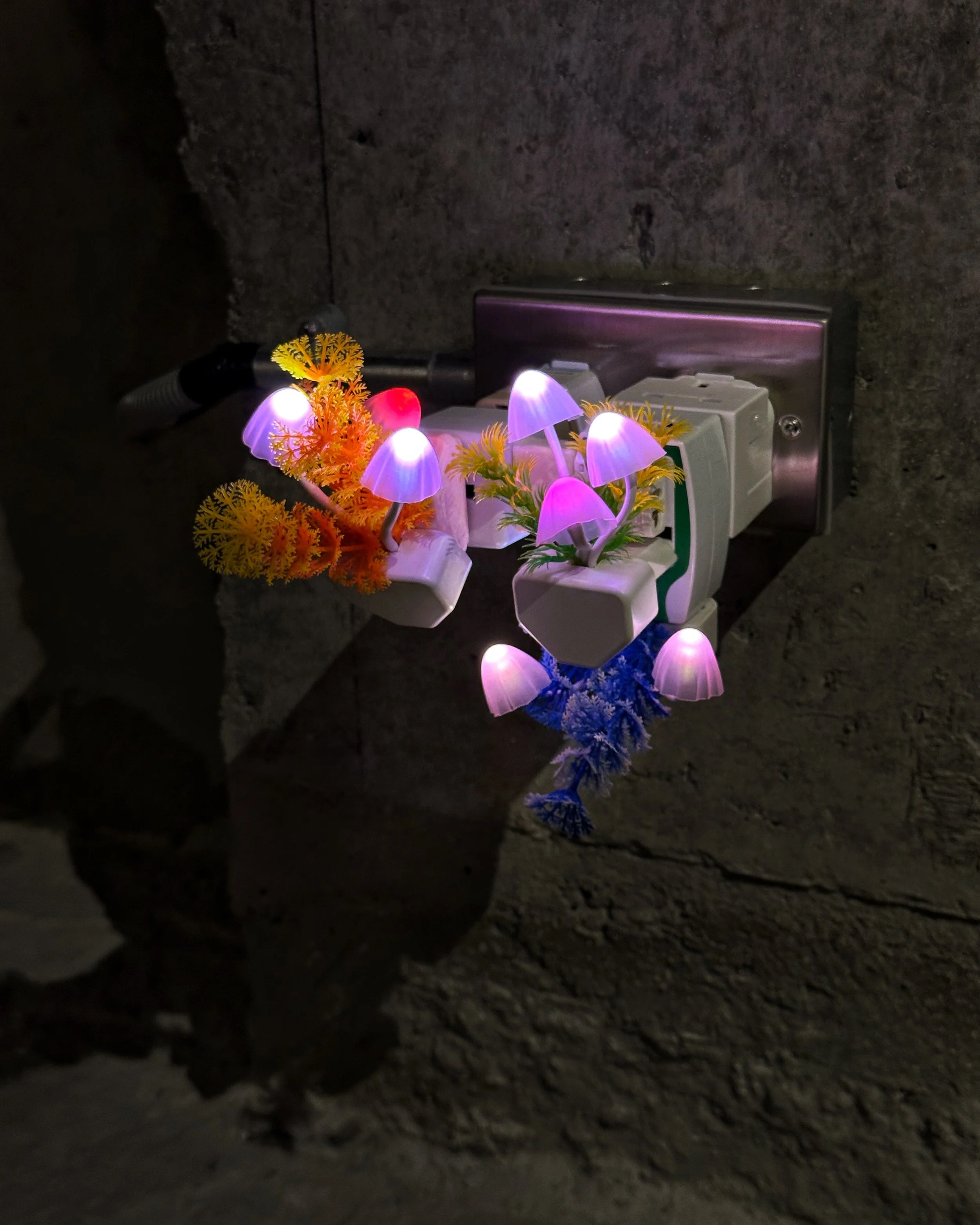 2023 Para Site Benefit Auction Preview