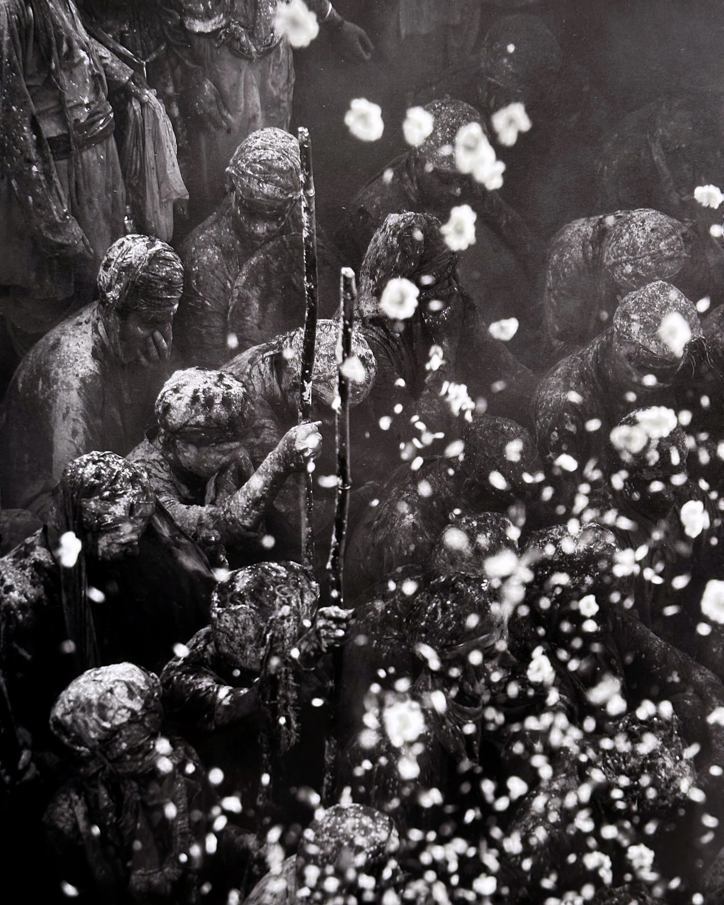 Palani Mohan: Watch With Wonder at Blue Lotus