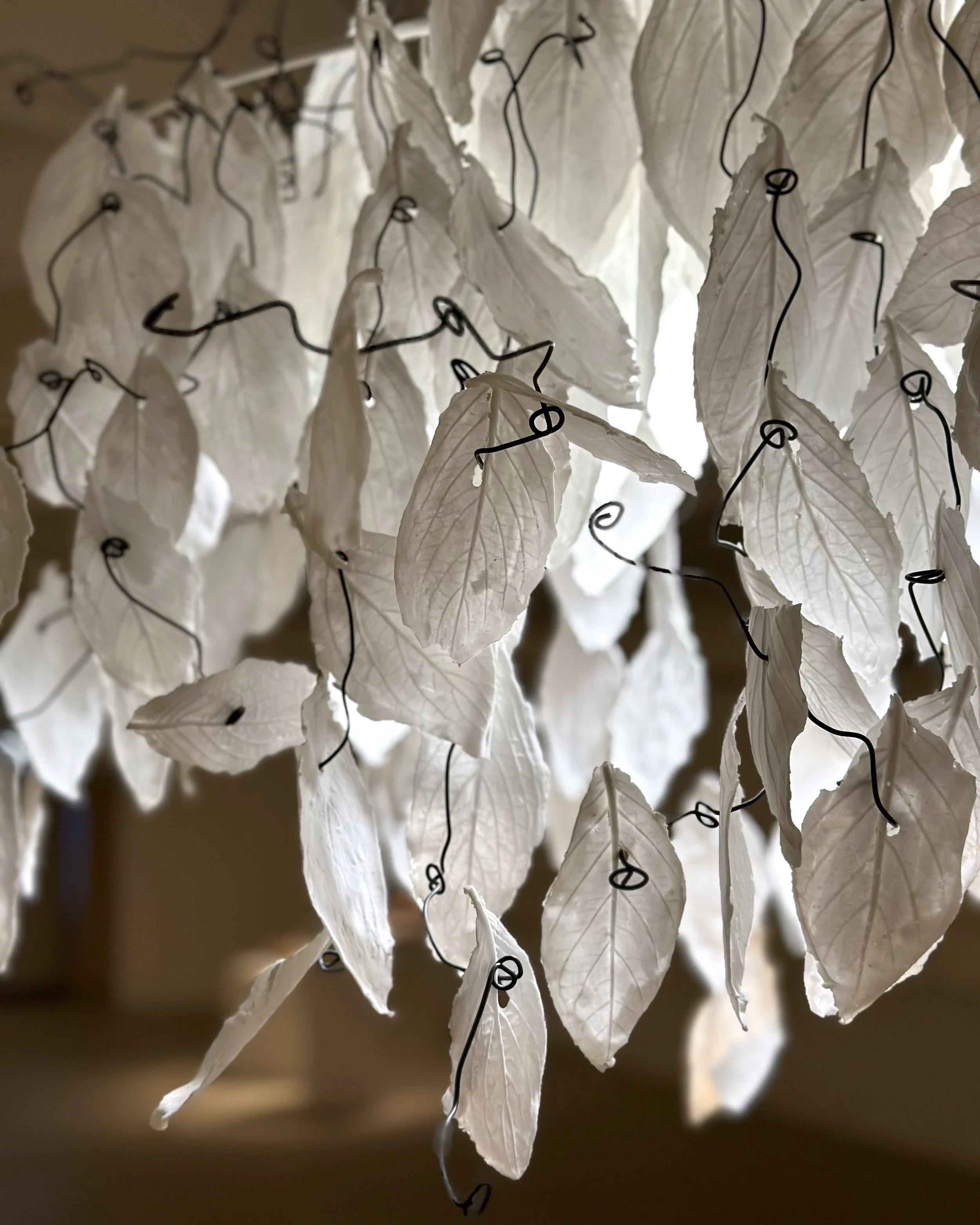 Closer Together at Pao Galleries