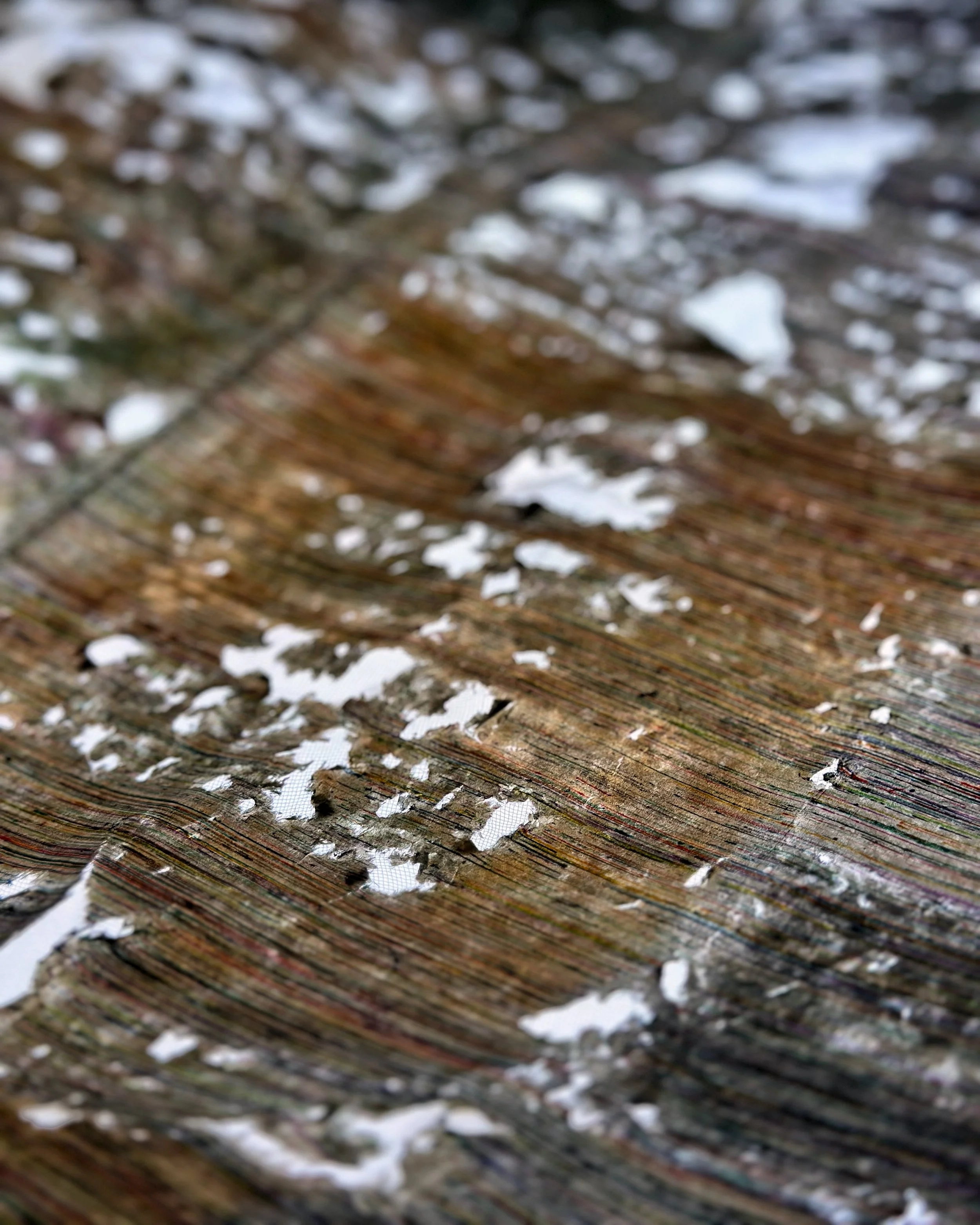 Living Paper at Galerie du Monde