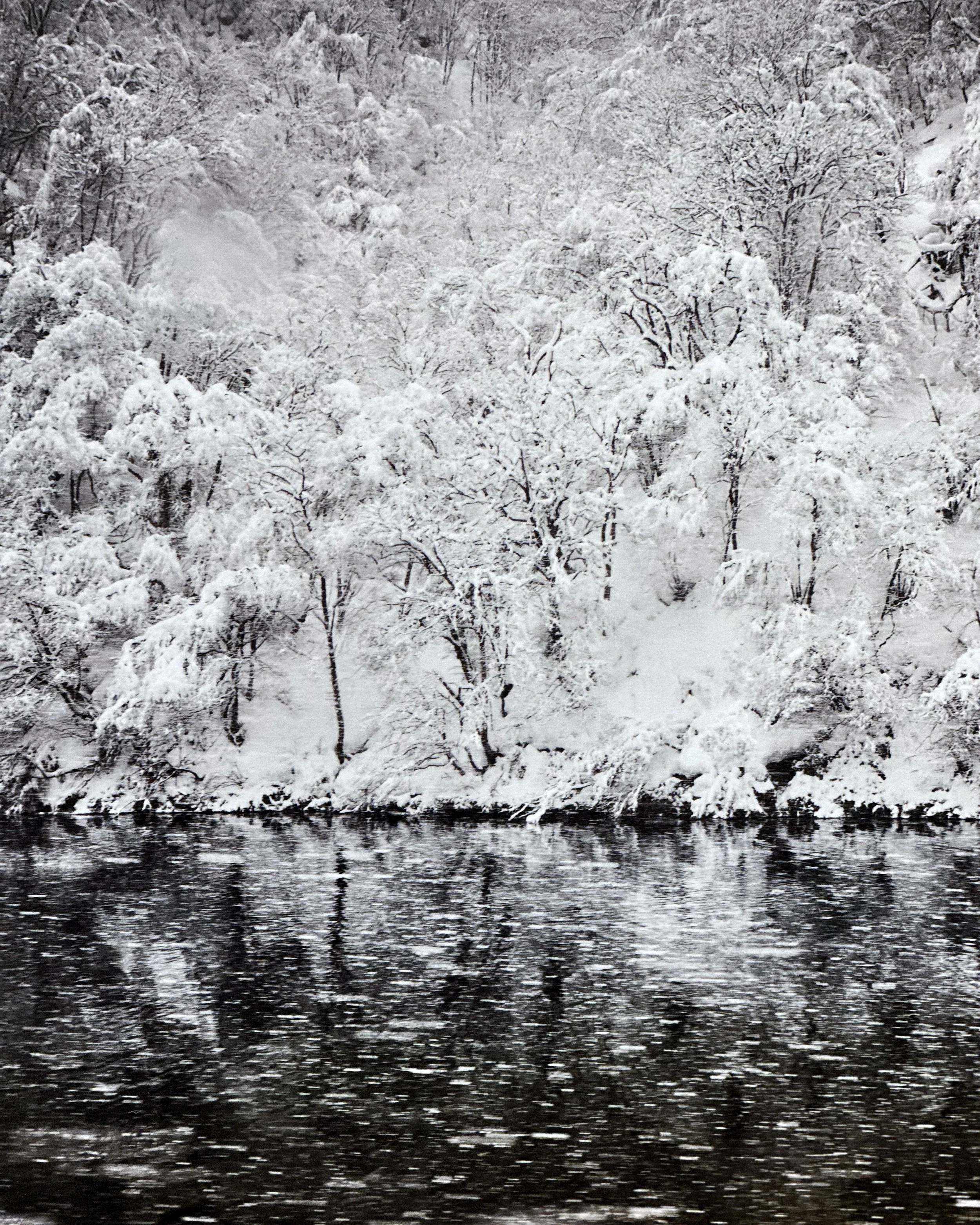 Yasuhiro Ogawa: Into The Silence at Blue Lotus Gallery