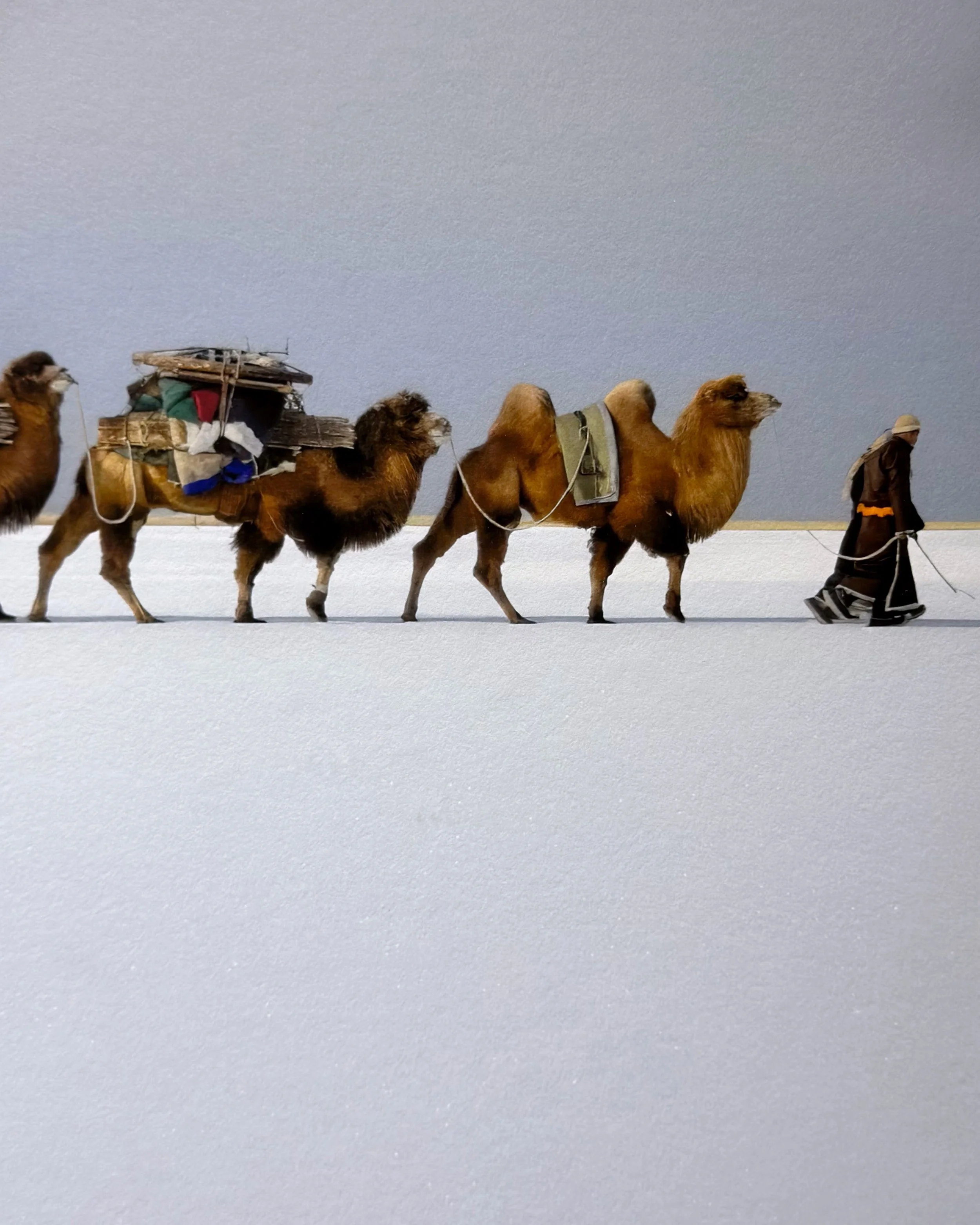 Marc Progin: Sanctuary Frozen in Time at La Galerie Paris 1839