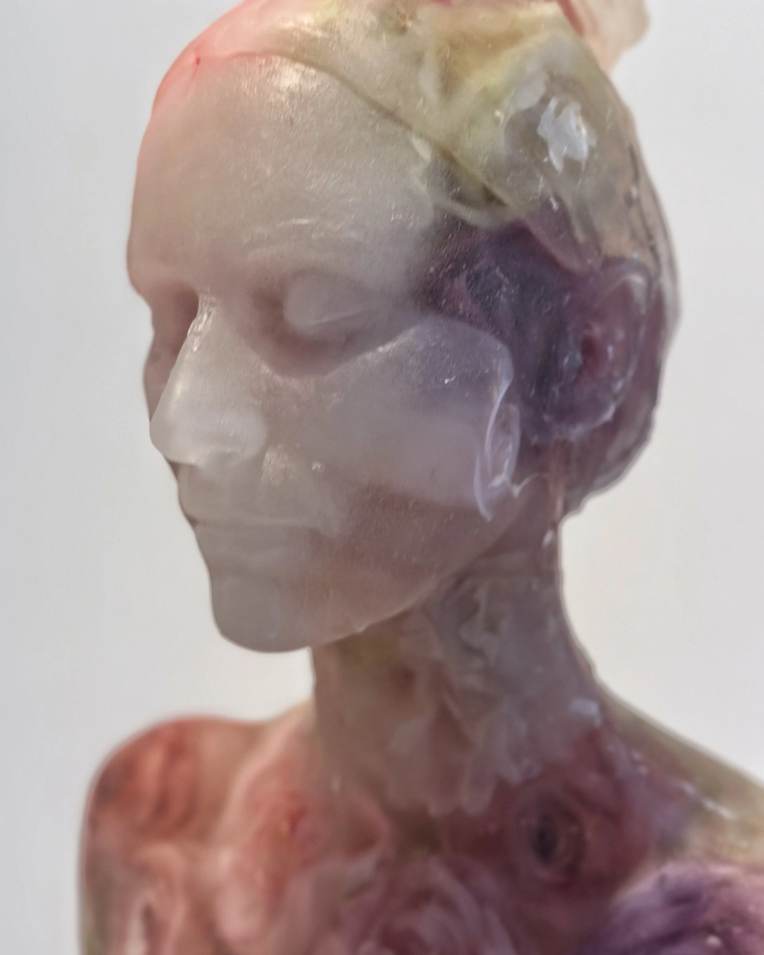 The Garden of Fragility at Double Q Gallery