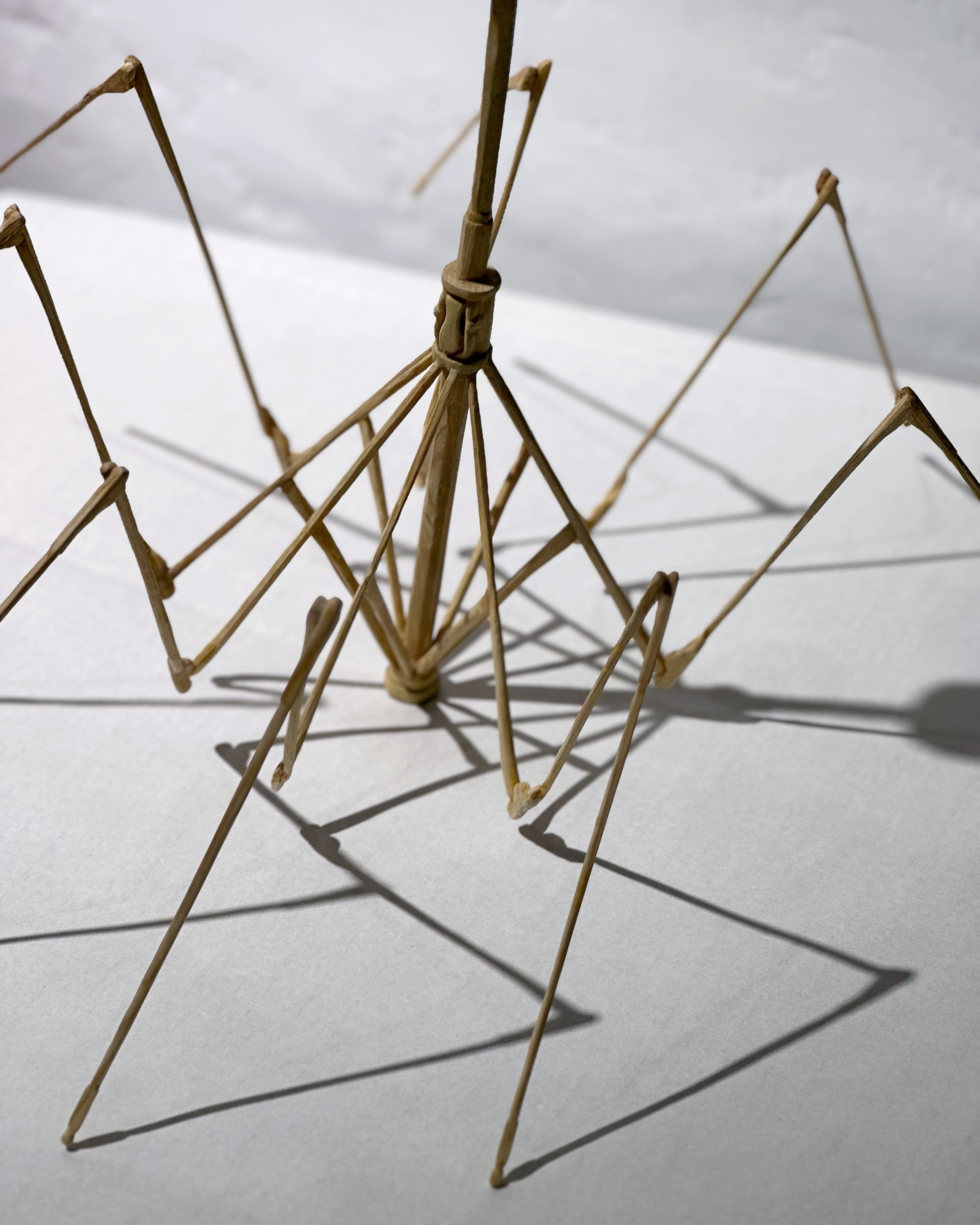 Heidi Ling: The Moon Wanes As It Waxes at Touch Gallery