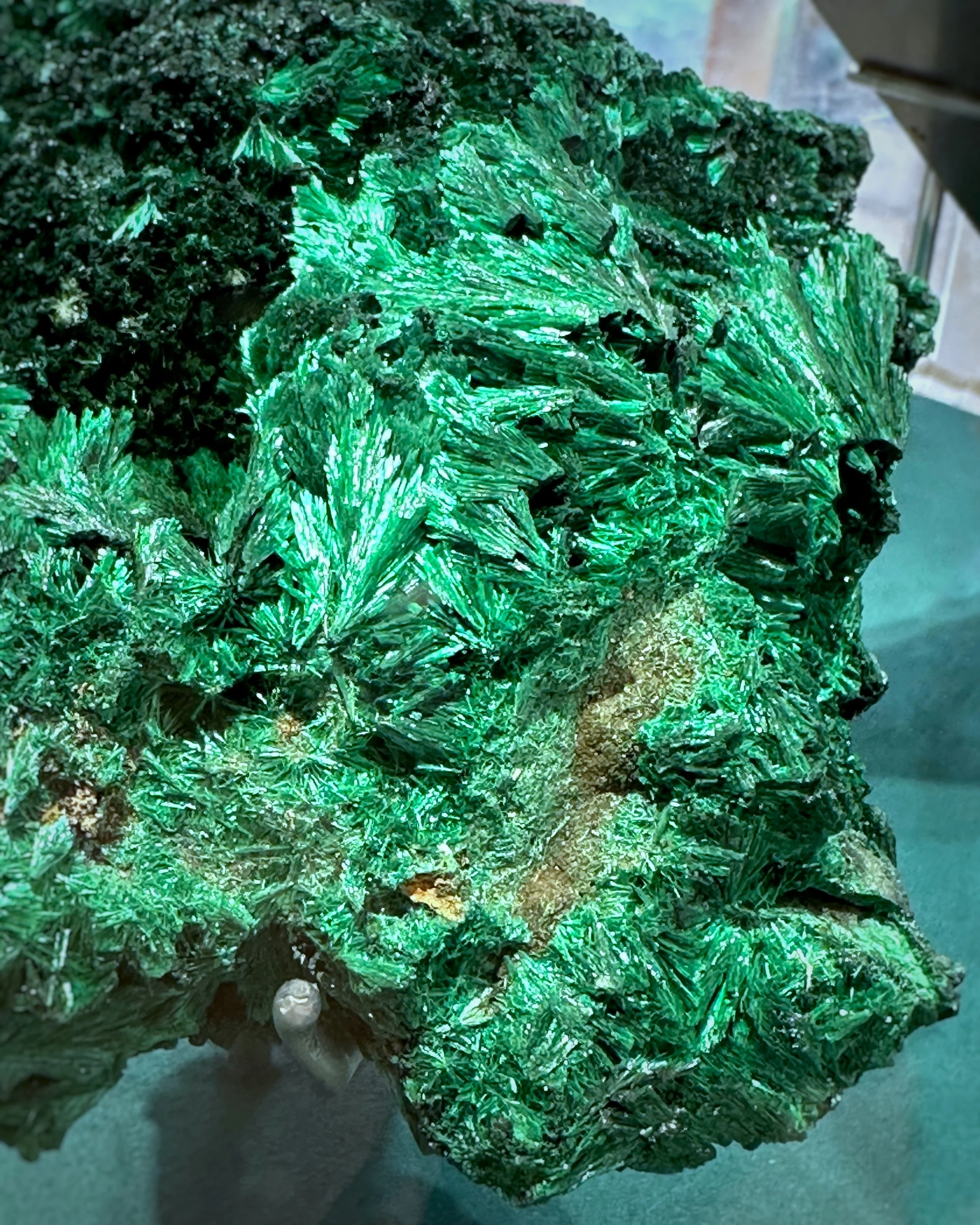 Journey with Minerals at L’ÉCOLE Asia Pacific