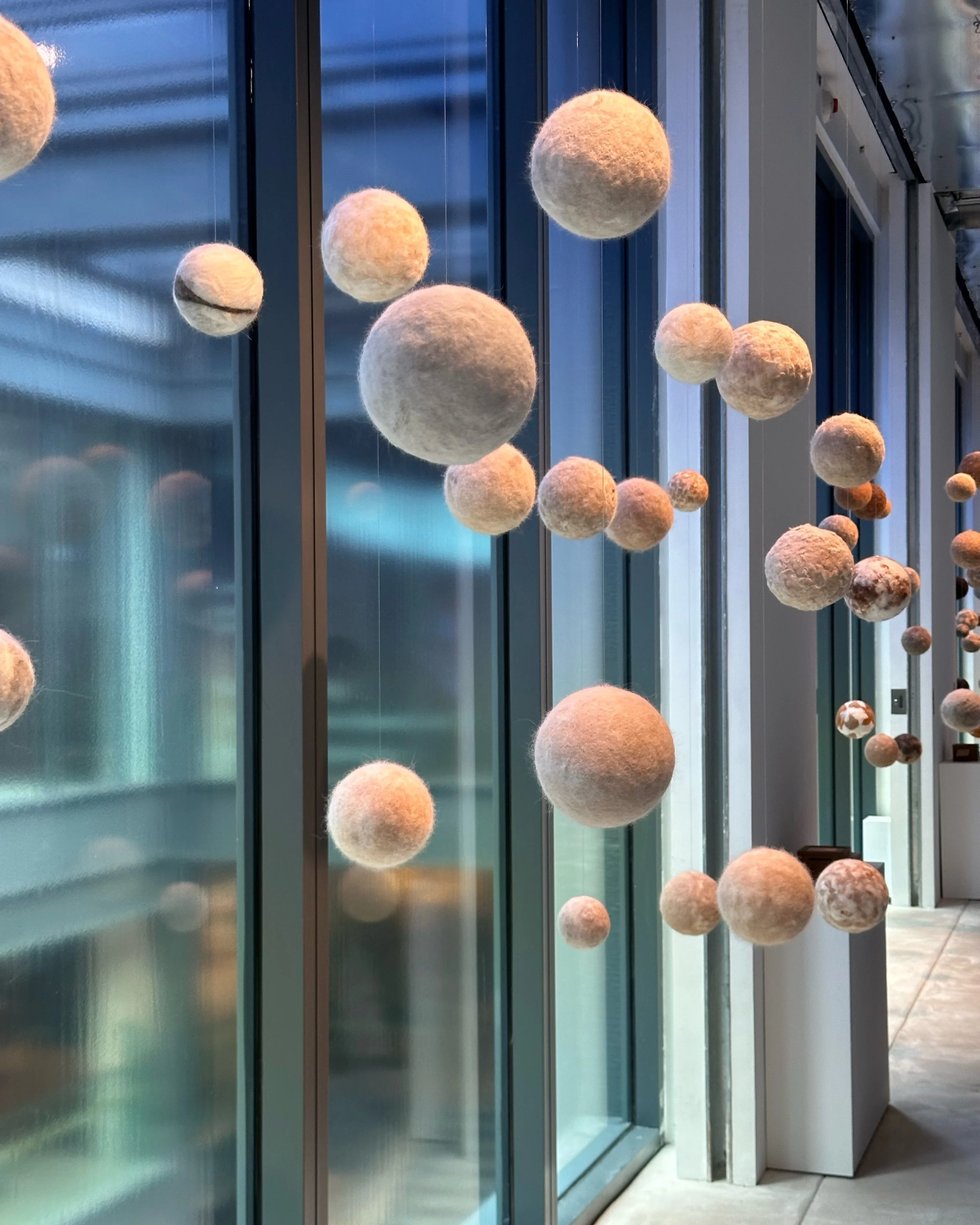 Summer Program at CHAT Mills