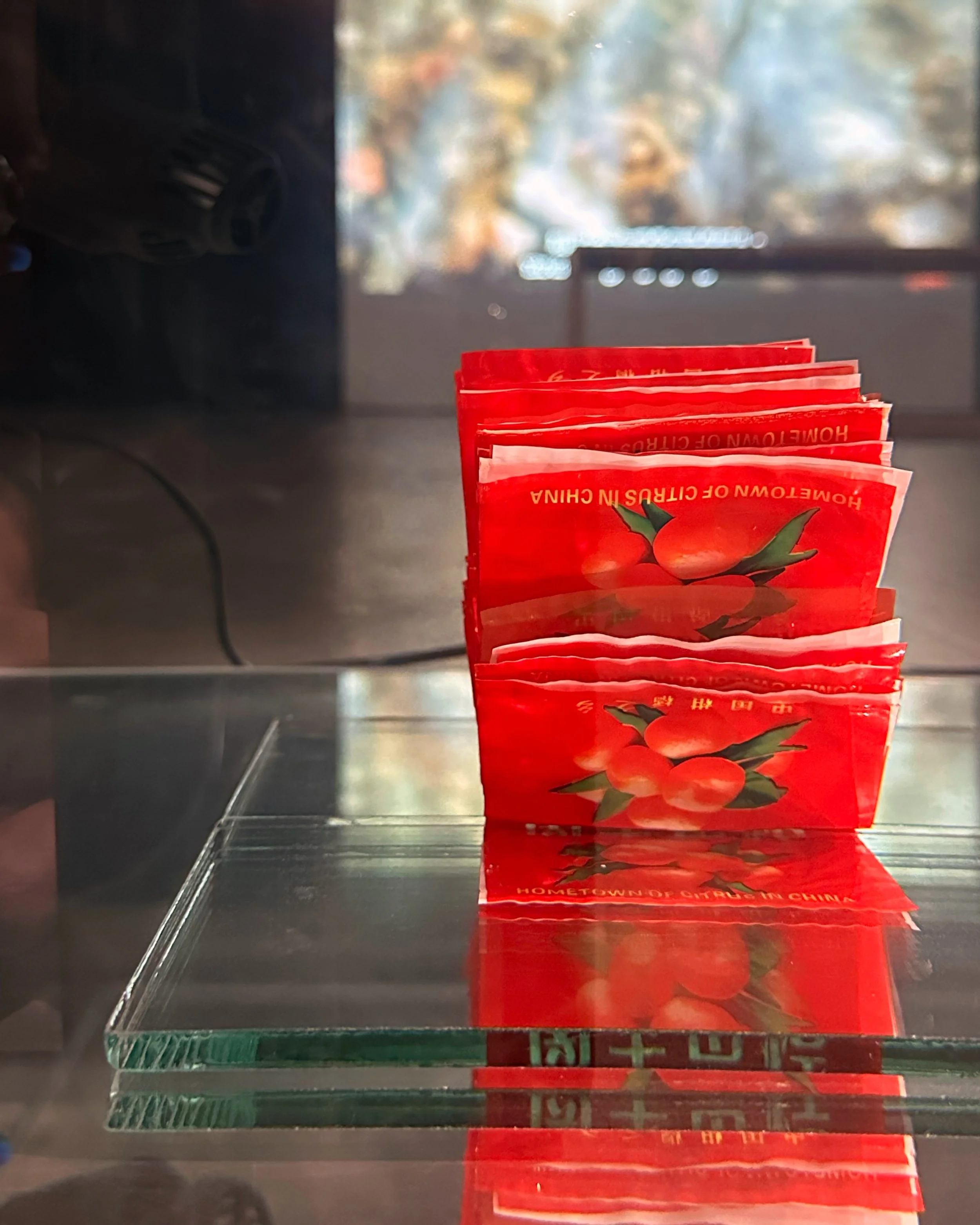 Weather-world at Blindspot Gallery