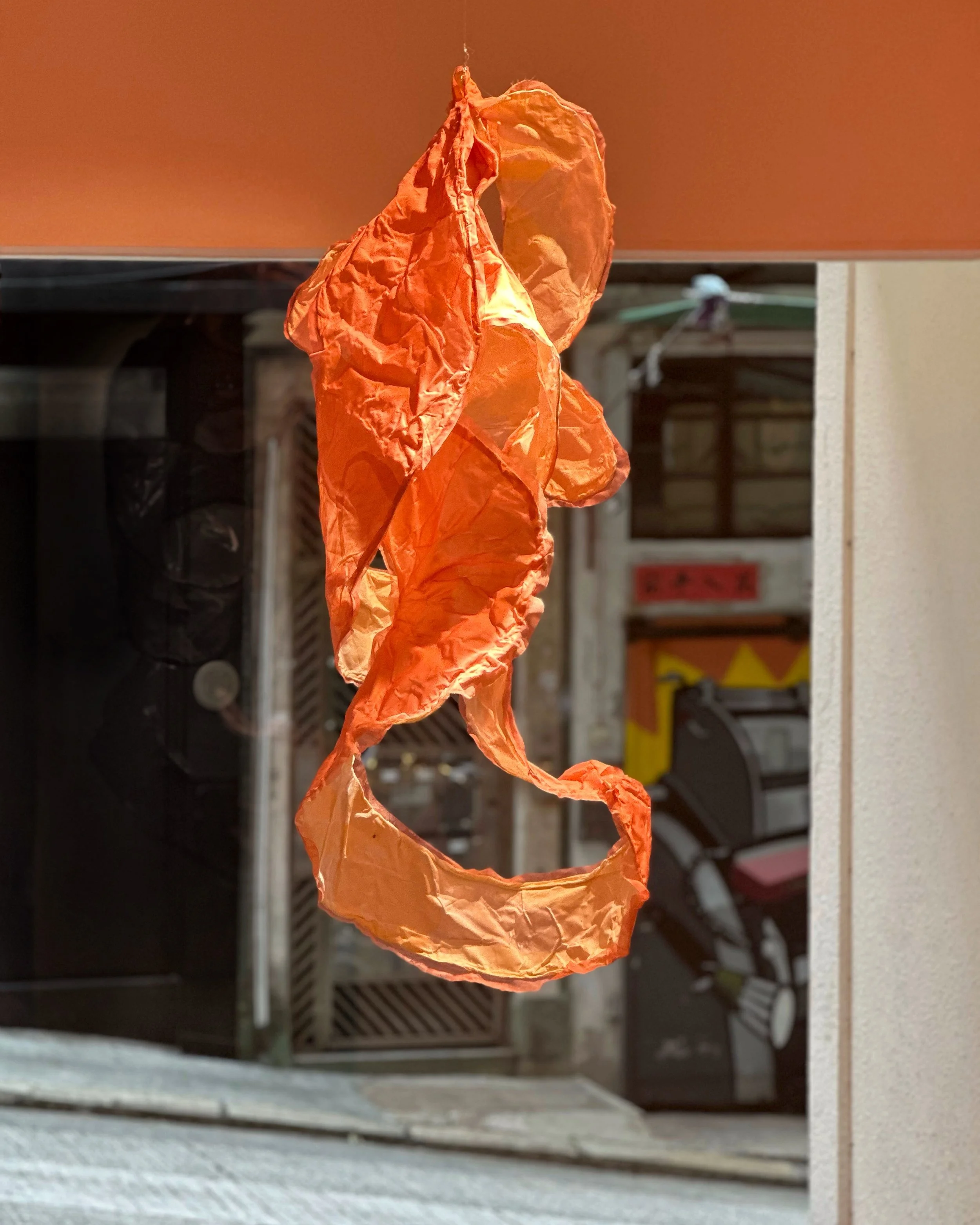 Olga BlƤsi at Leo Gallery