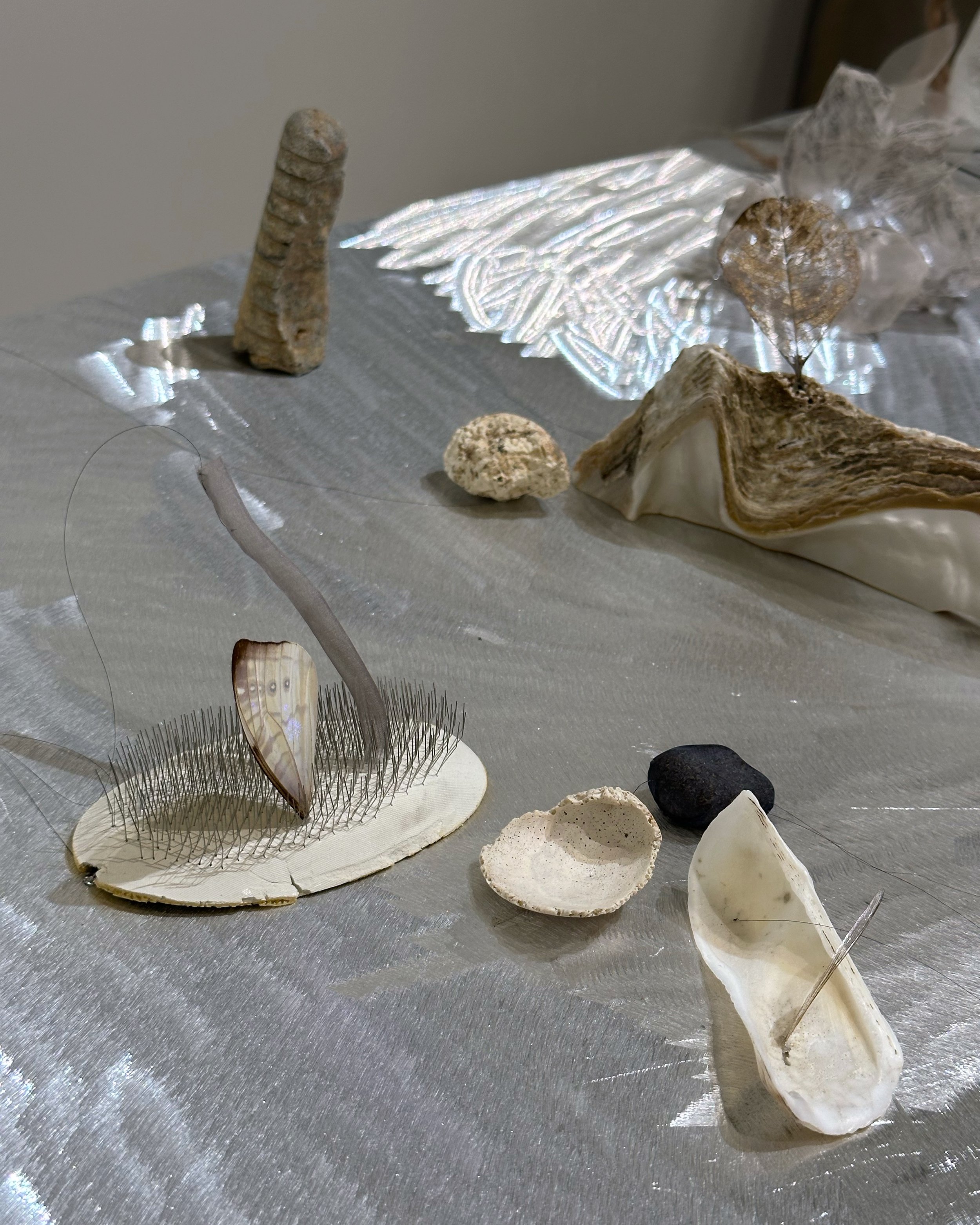 Hu Xiaoyuan: Veering at Tai Kwun Contemporary