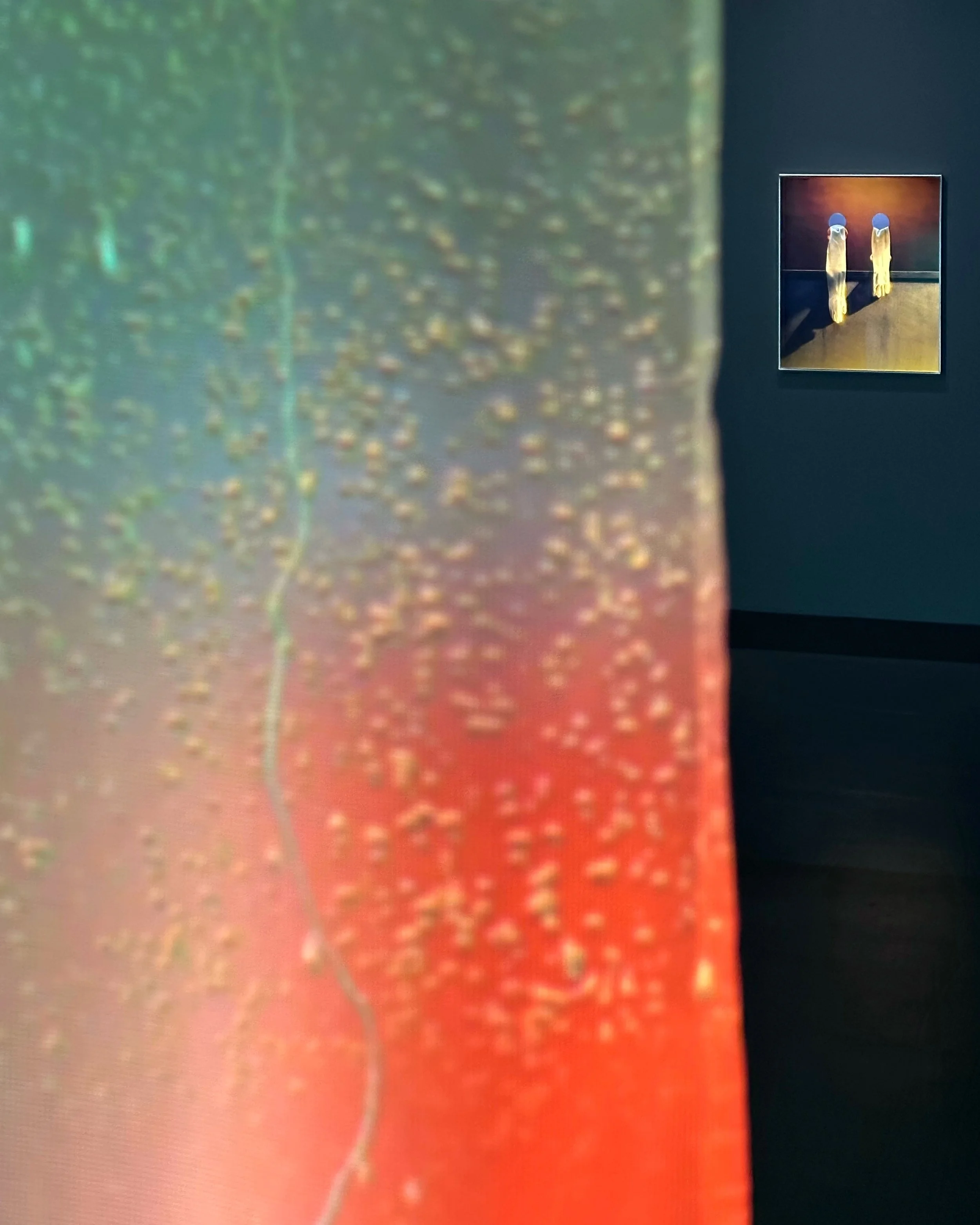 Chen Wei: Breath of Silence at Blindspot Gallery