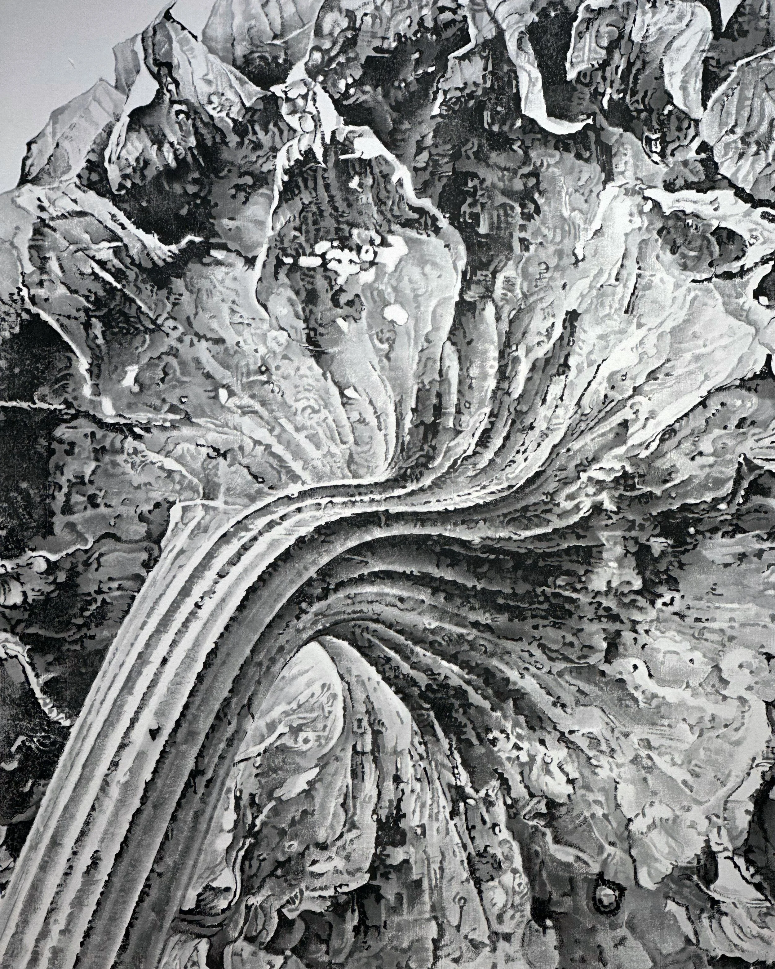 Liu Dan: Morphogenesis at PhillipsX