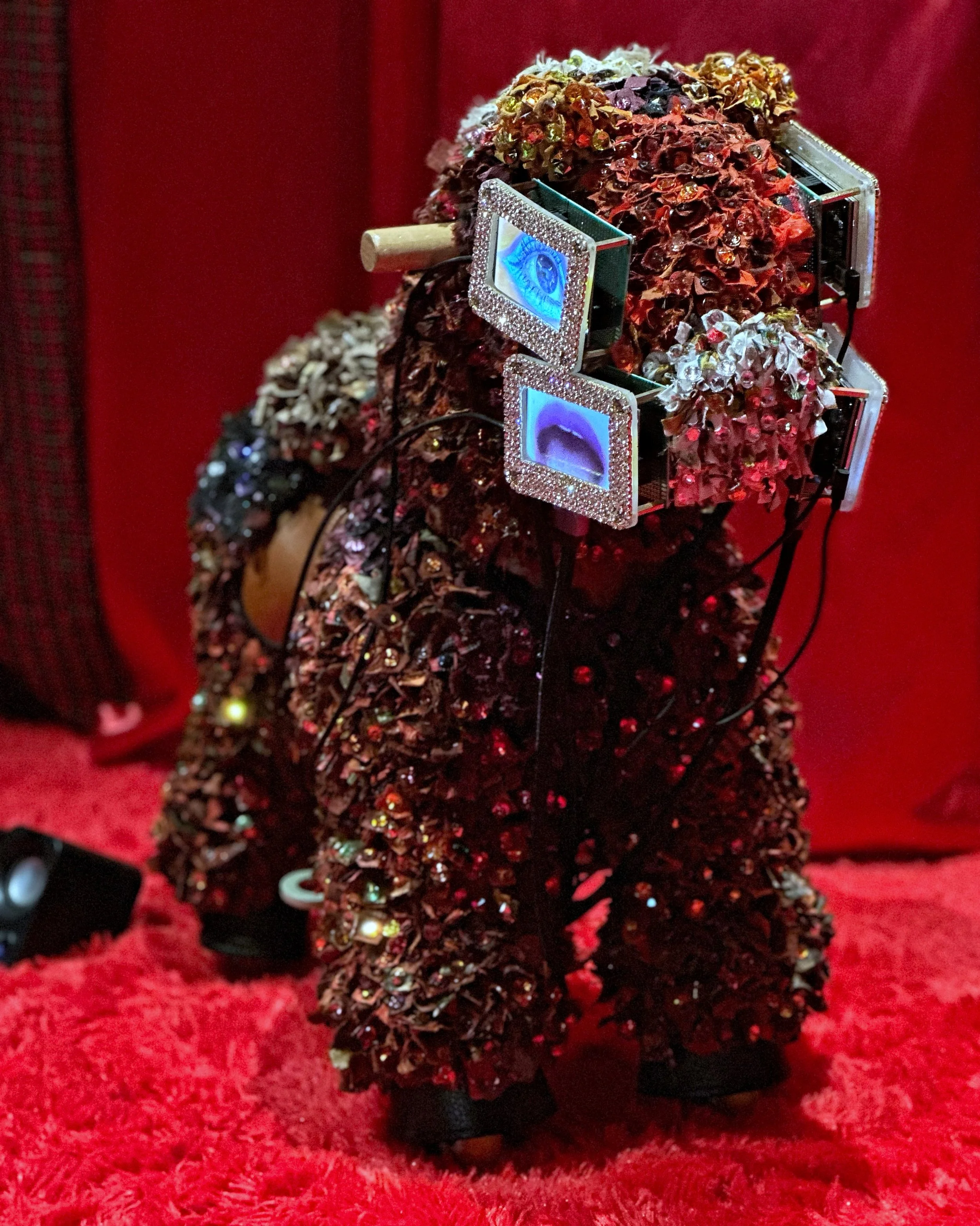 Sasaoka Yuriko: Animale at PHD Group