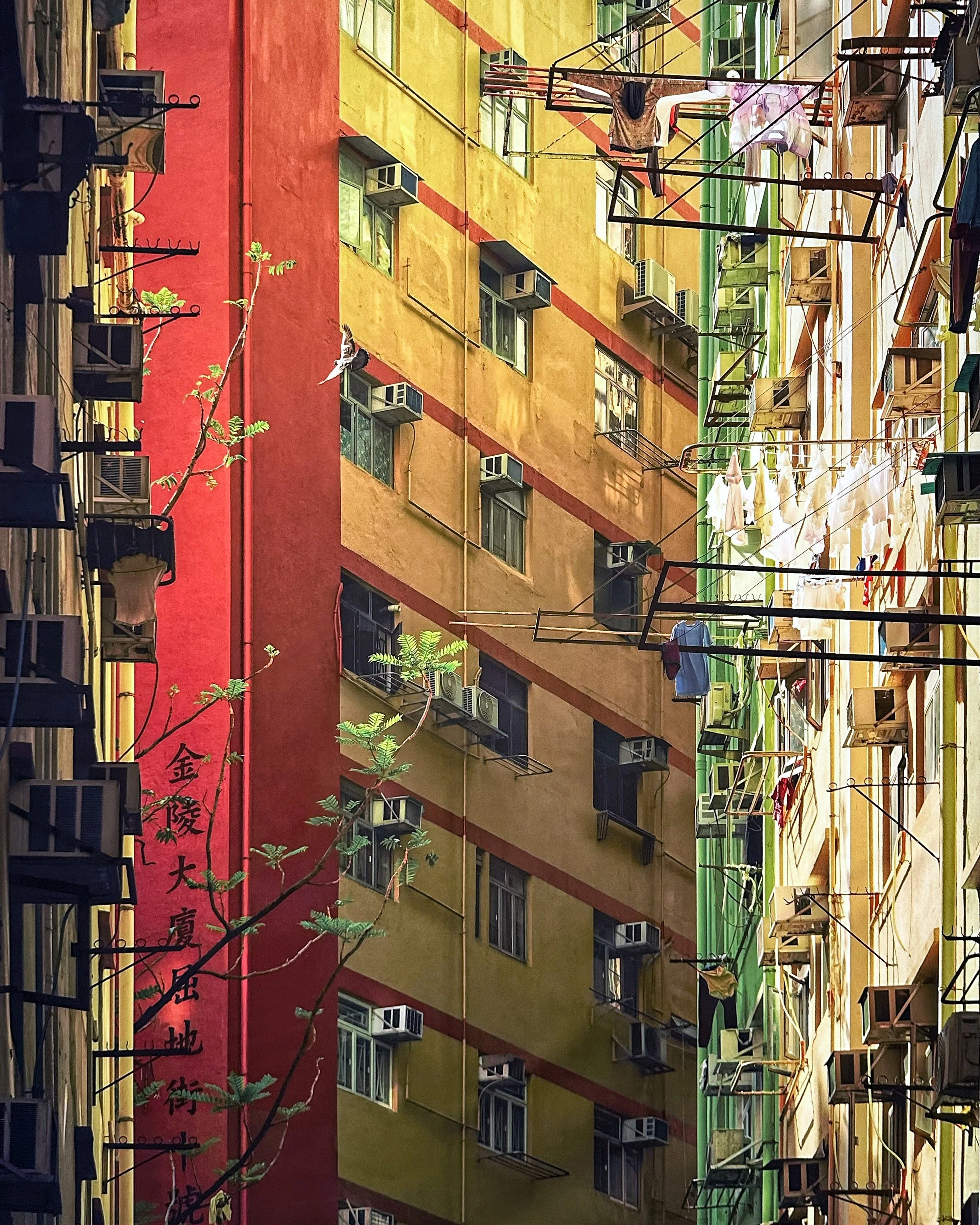 Romain Jacquet-Lagrèze: Echoing Above at Blue Lotus Gallery