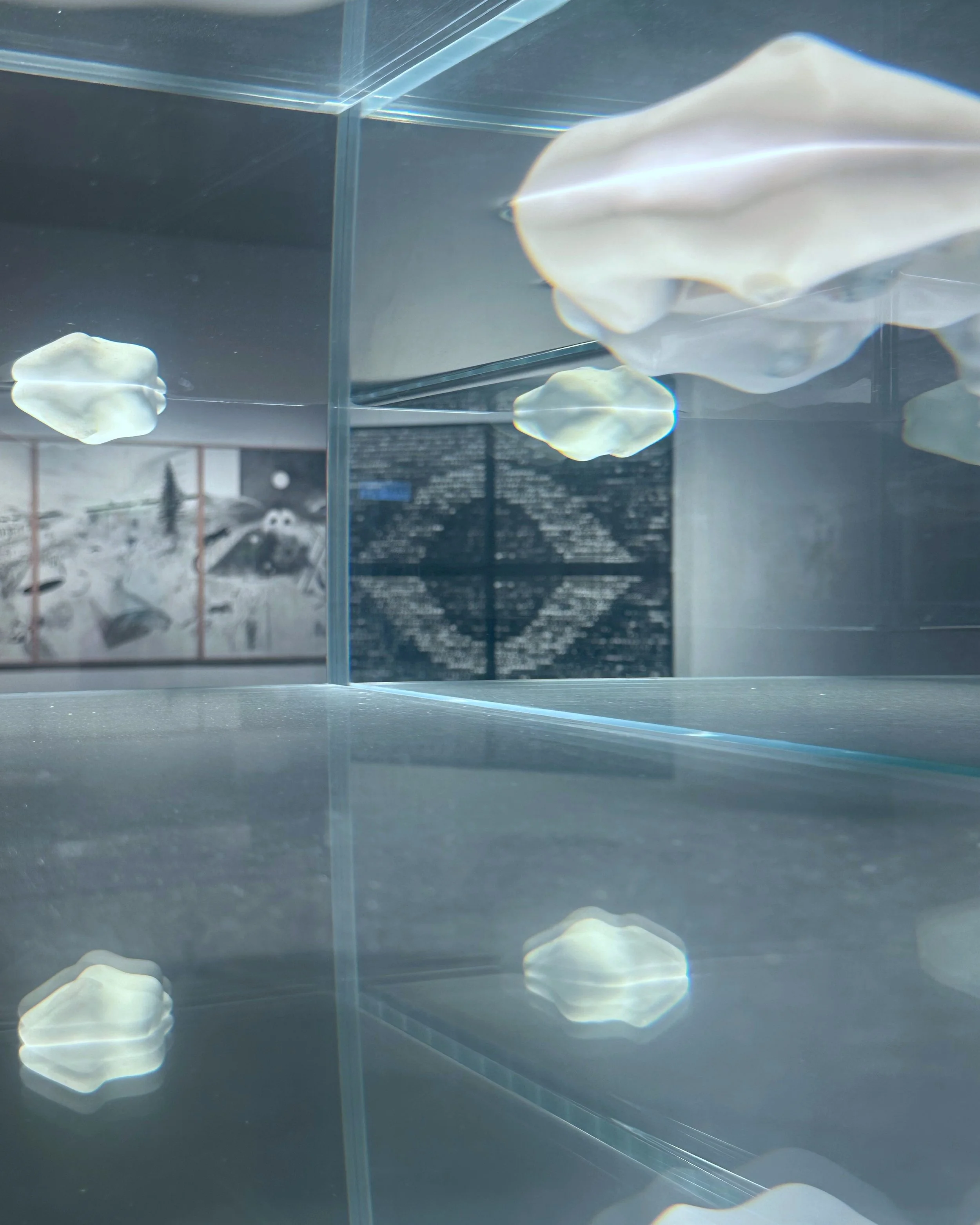 Hong Kong Art School & RMIT University Bachelor of Arts in Fine Art Graduate Exhibition