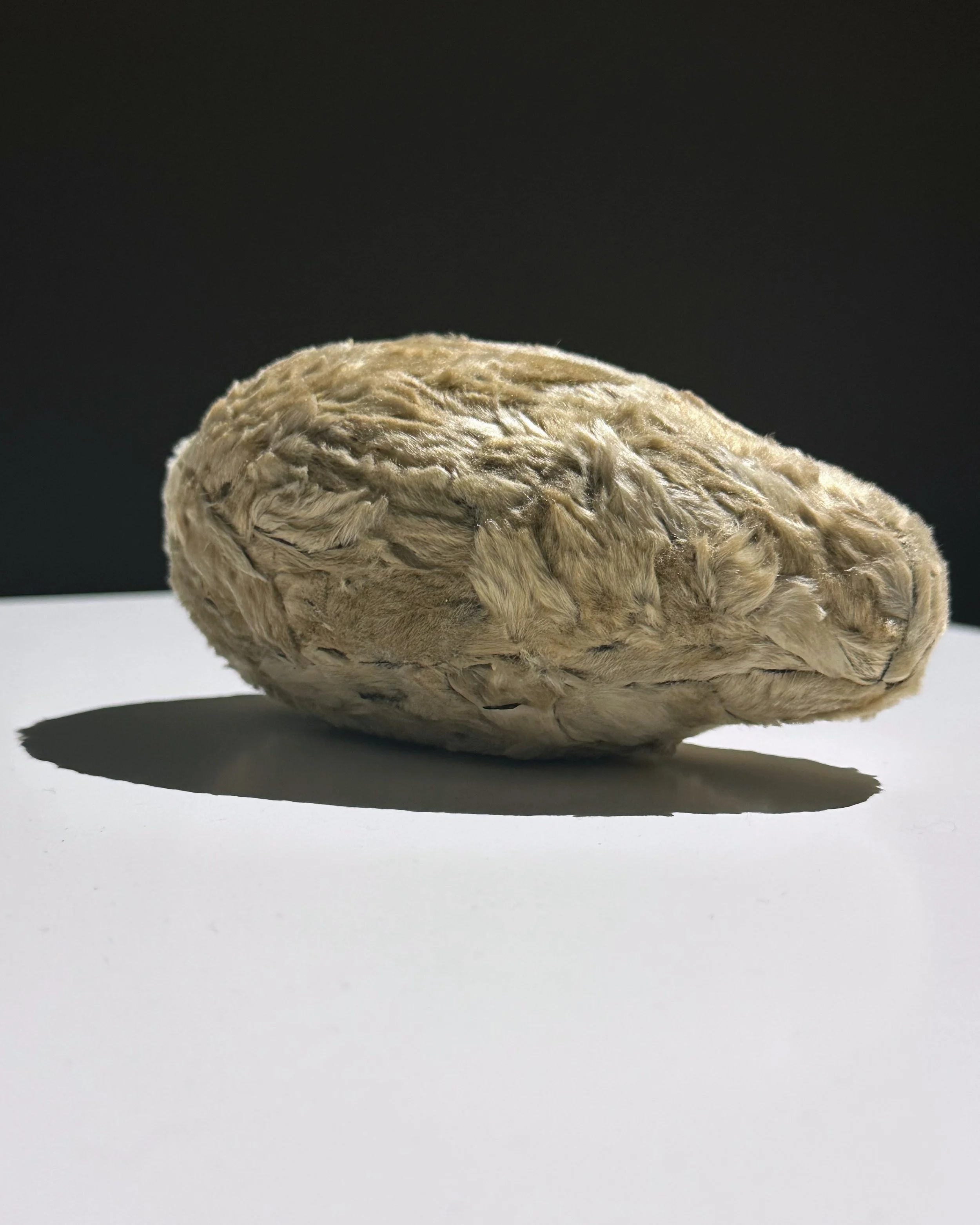 Wing Po So: Polyglot at Blindspot Gallery