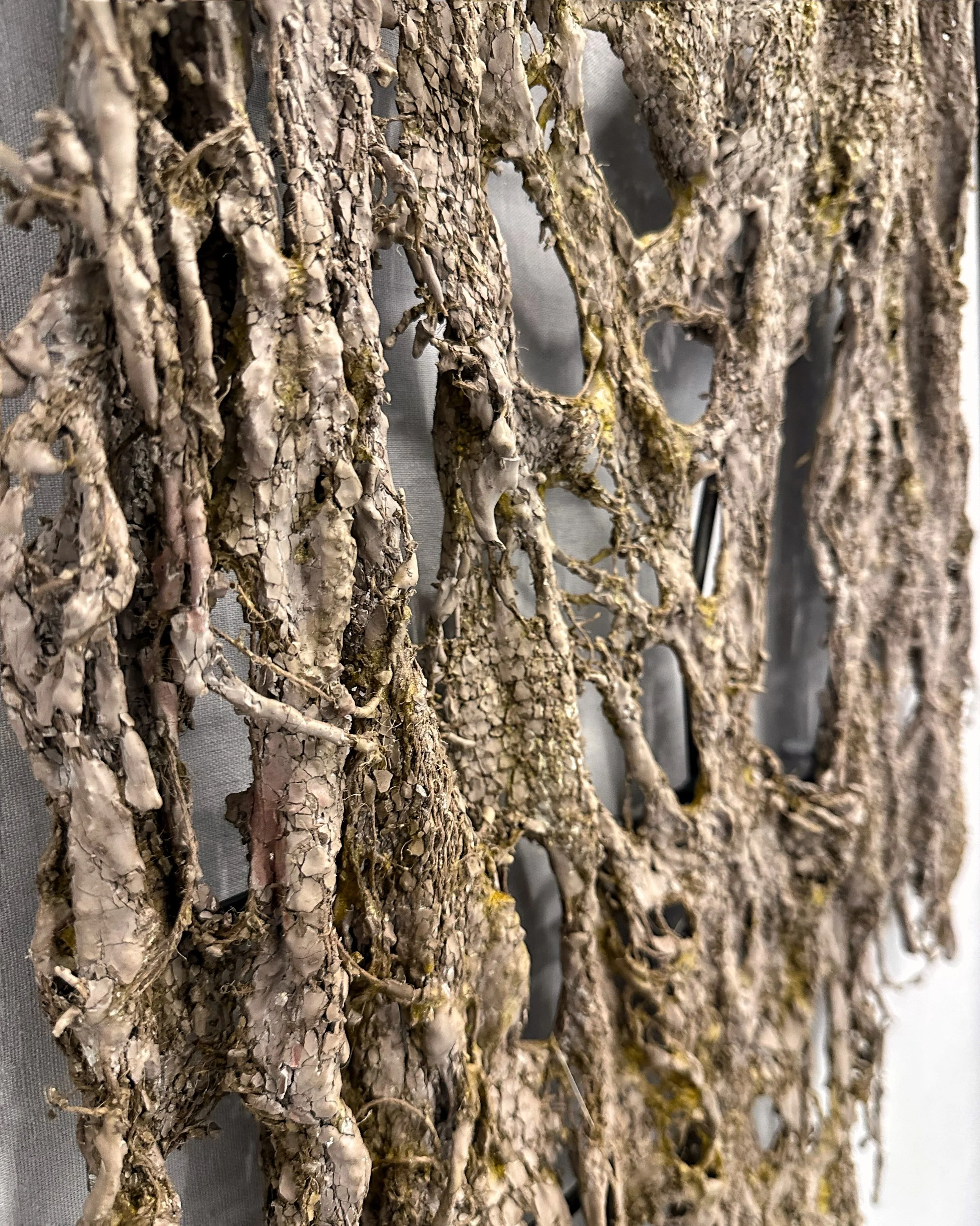 Para Site Benefit Auction 2025