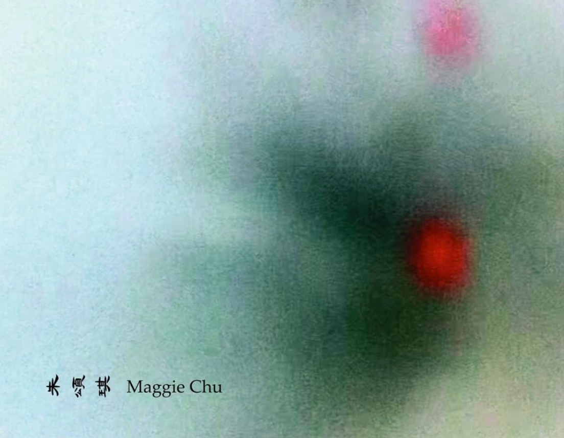 Maggie Chu: Aperture of Seeing at Project House 1QRW