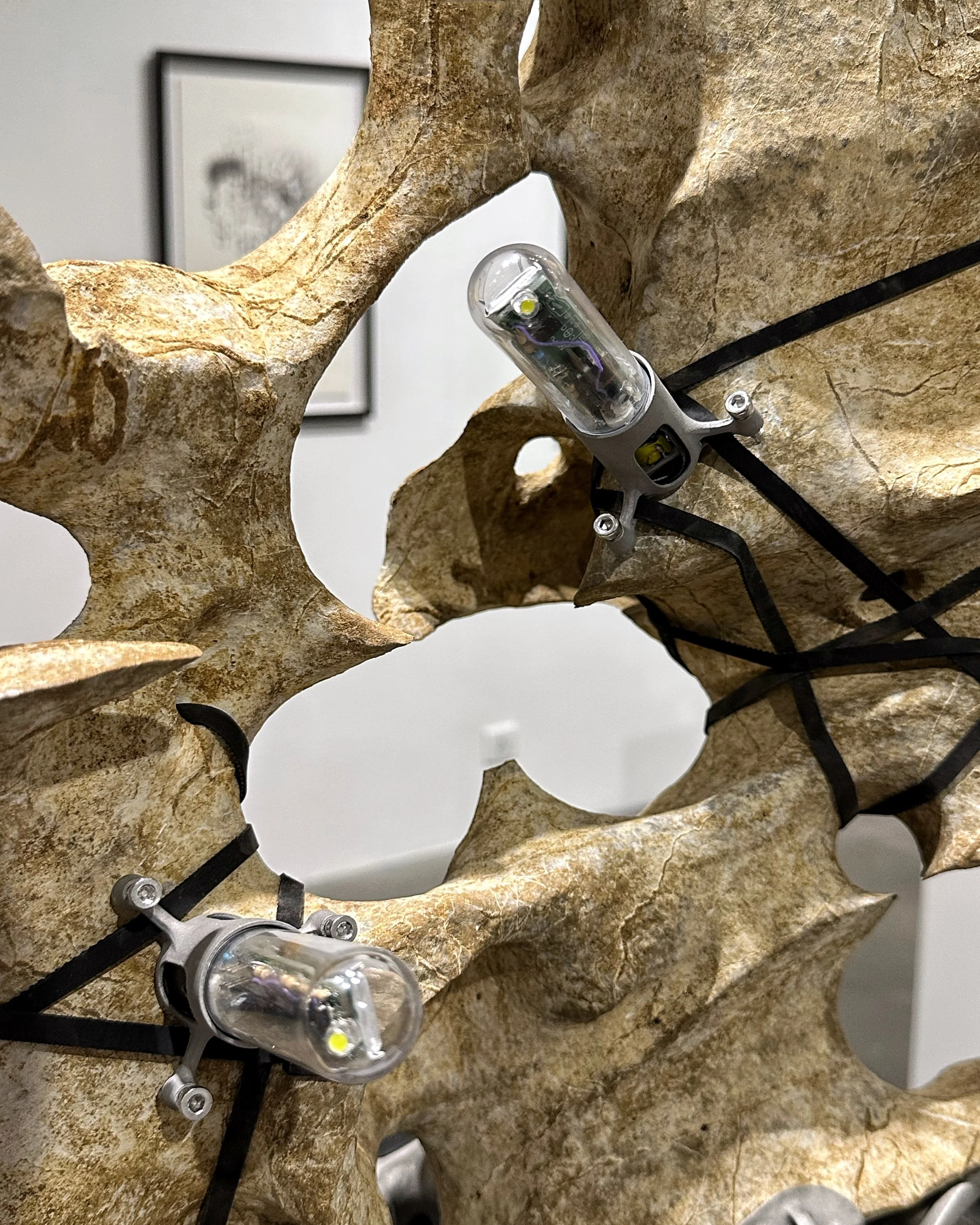 Peter Nelson and Tobias Klein: Morphology at Hanart TZ