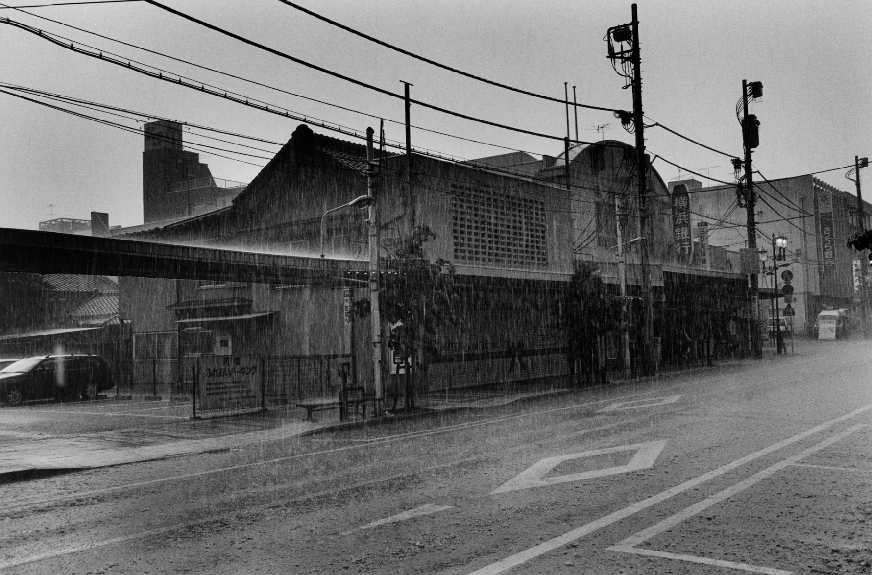 Koji Onaka: Distance at Blue Lotus Gallery