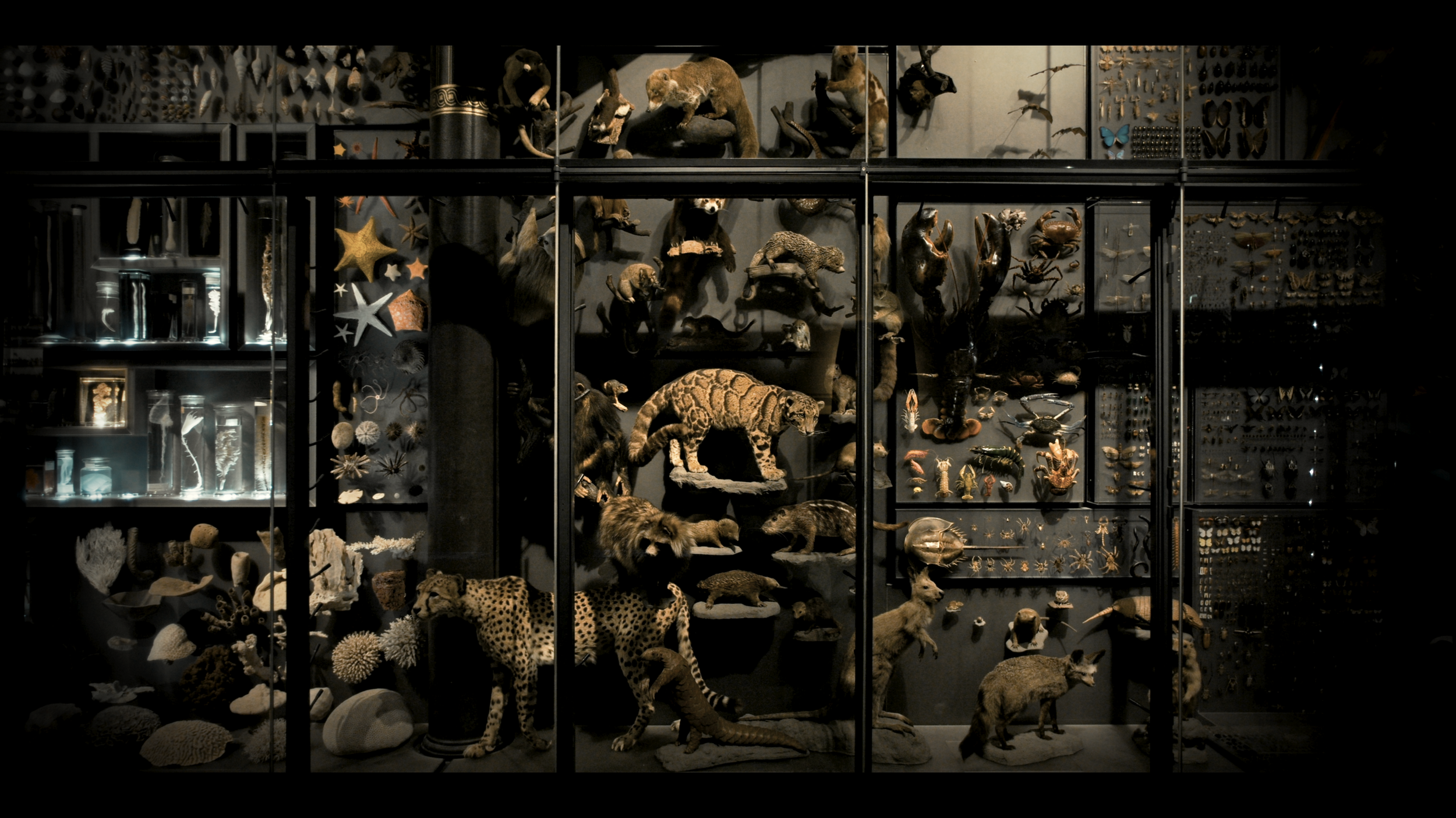 Carsten Nicolai: ENDO EXO, PHOSPHENES at M+