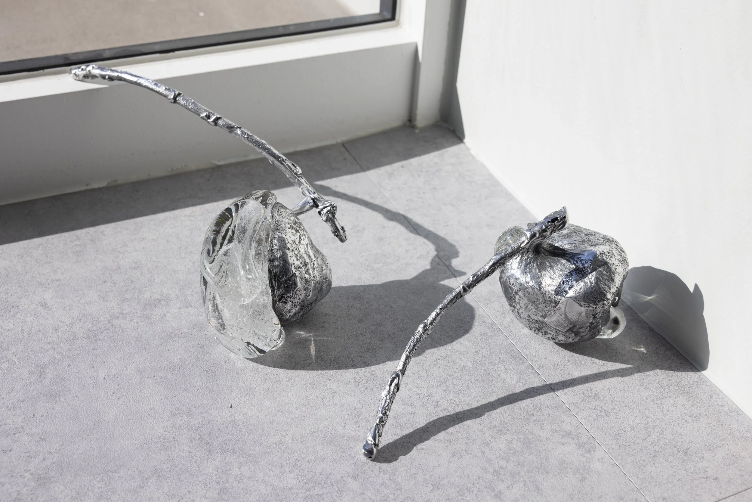 Amour Aquatique at Podium