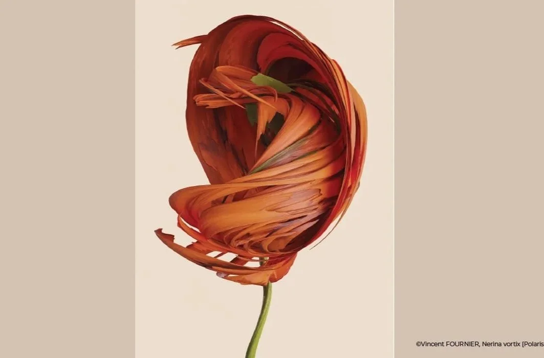 Vincent Fournier: Flora Incognita ASTROBOTANICAL HERBARIUM at La Galerie Paris 1839