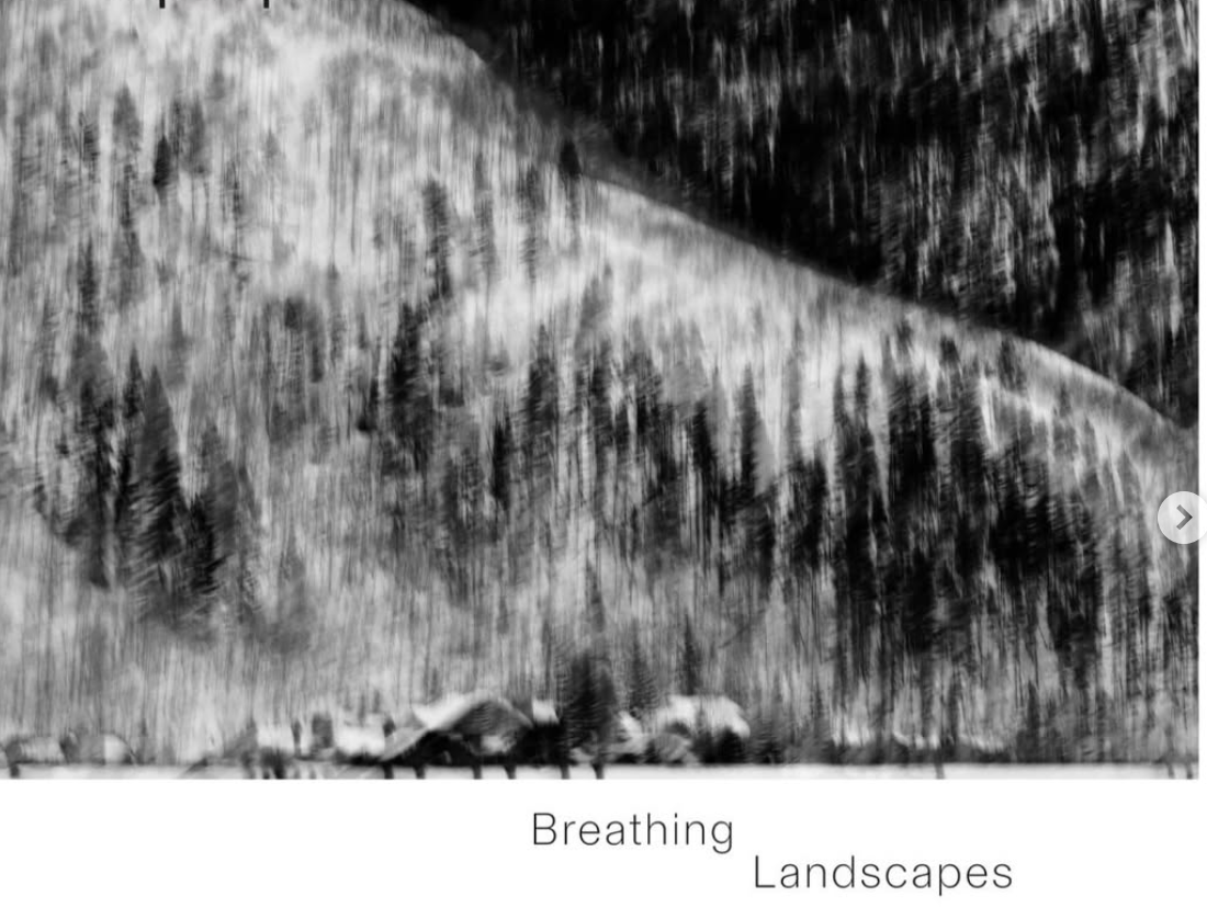 Frances Tong: Breathing Landscapes at The Fringe Club
