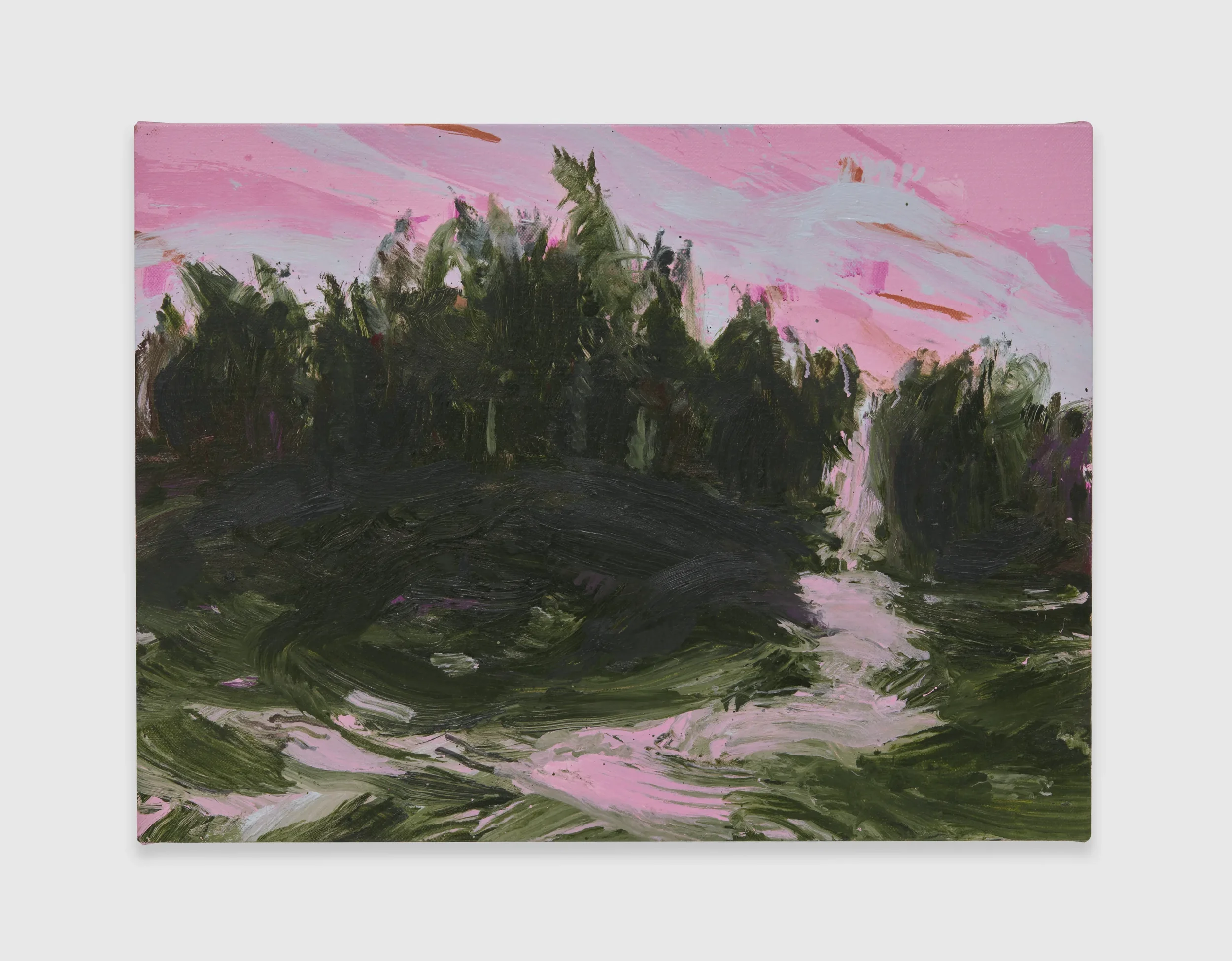 Nicole Wittenberg at Massimo de Carlo