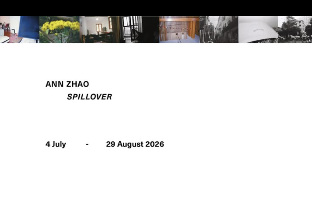 Ann Zhao: Spillover  at Empty Gallery