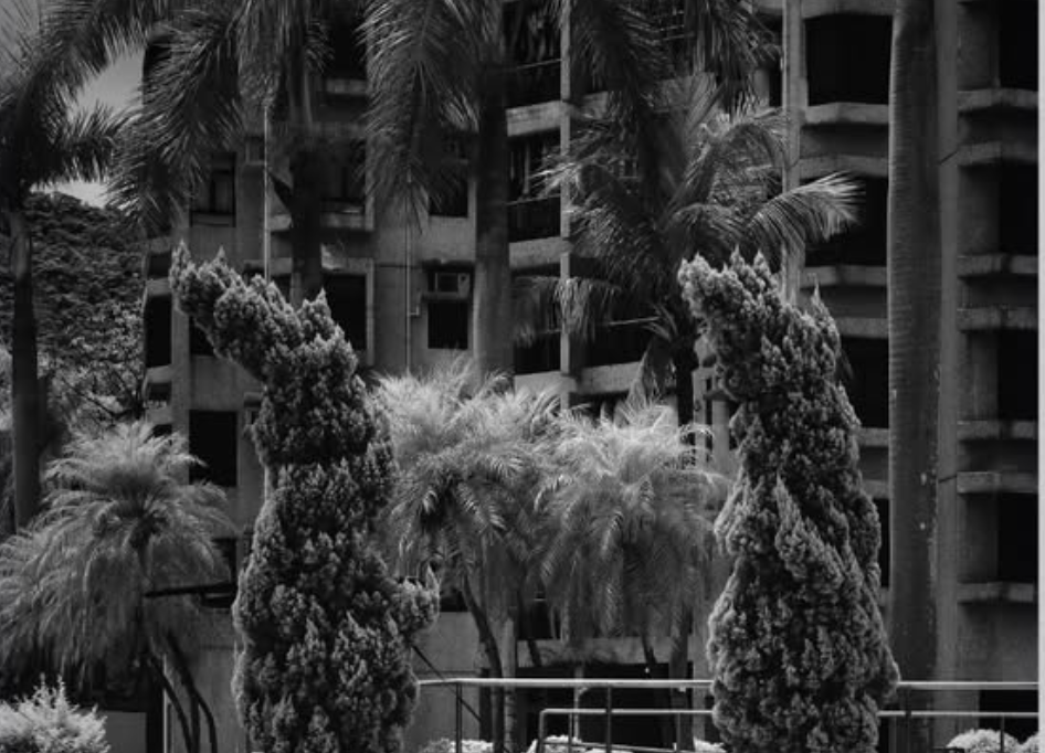 Sherman Lam: In Captivity at Pointsman Artspace