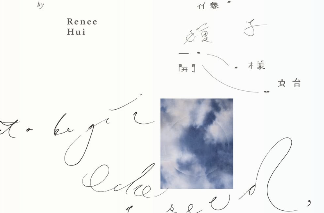 Renee Hui: To Begin Like a Seedat POINTSMAN