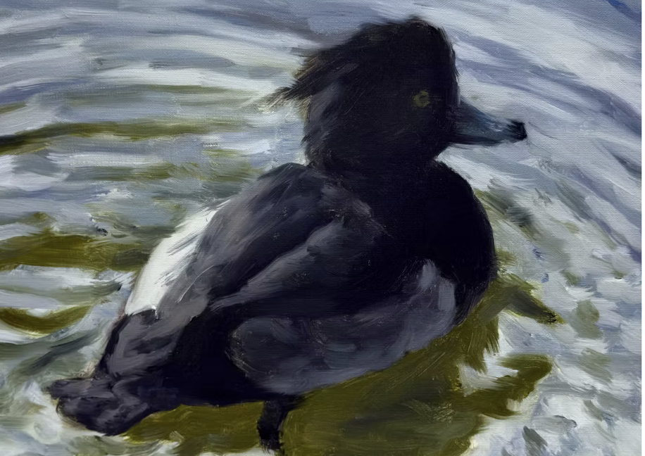 Hidetaka Suzuki: Everywhere Nowhere at Touch Gallery