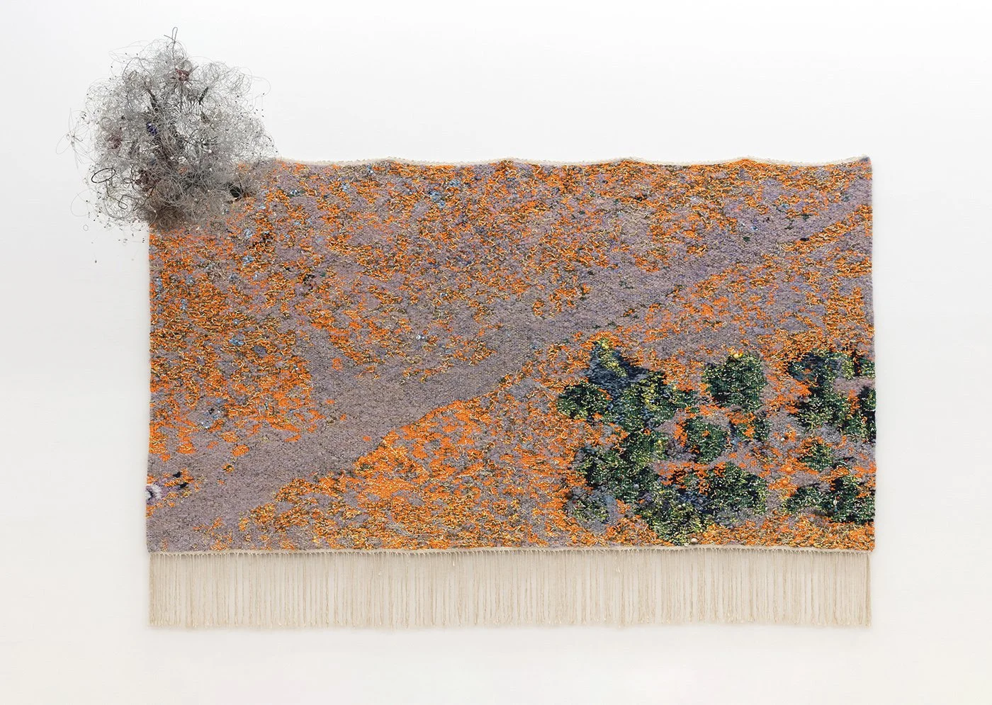 Soft Borders at Blindspot Gallery 