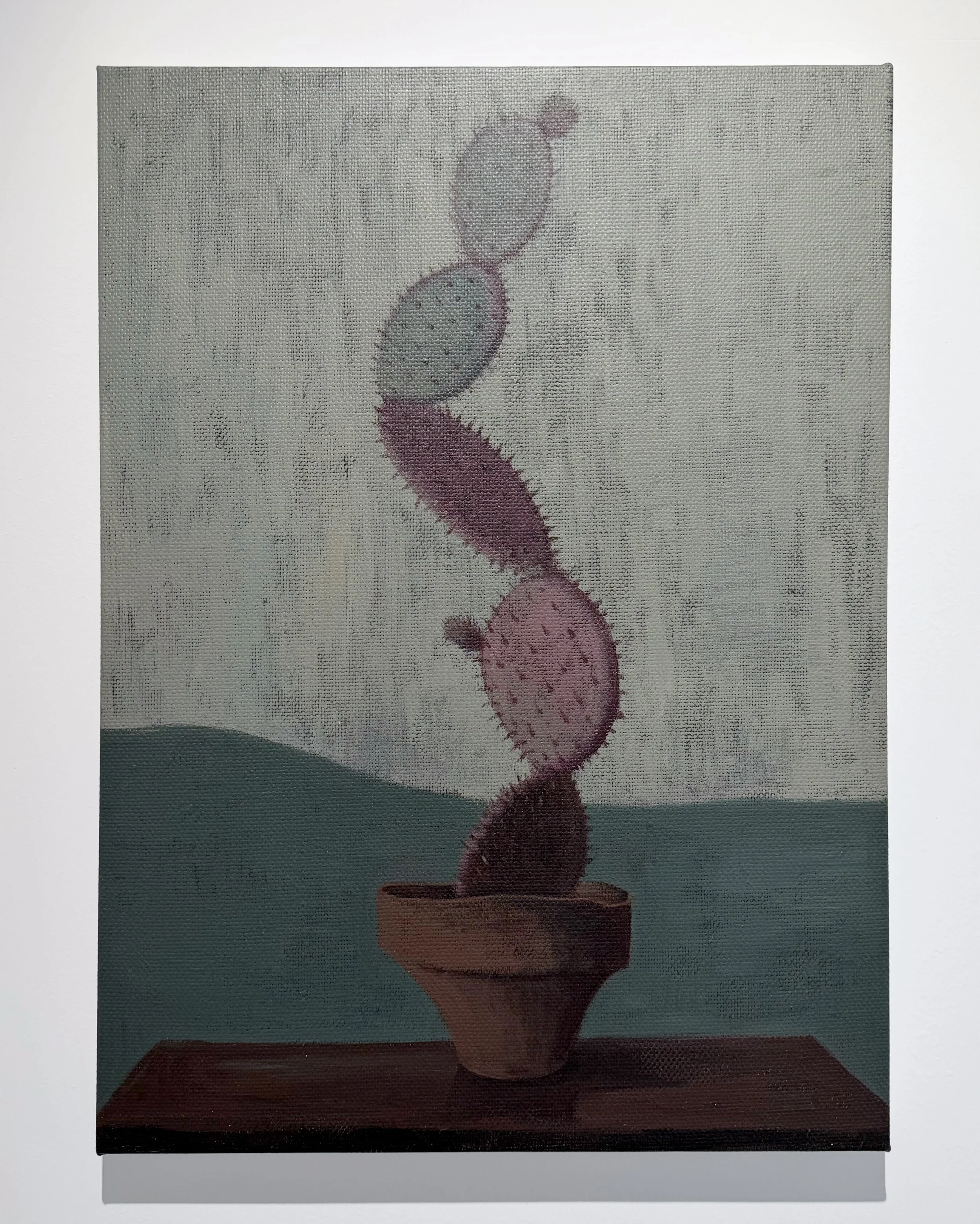 IMG_4861.jpeg