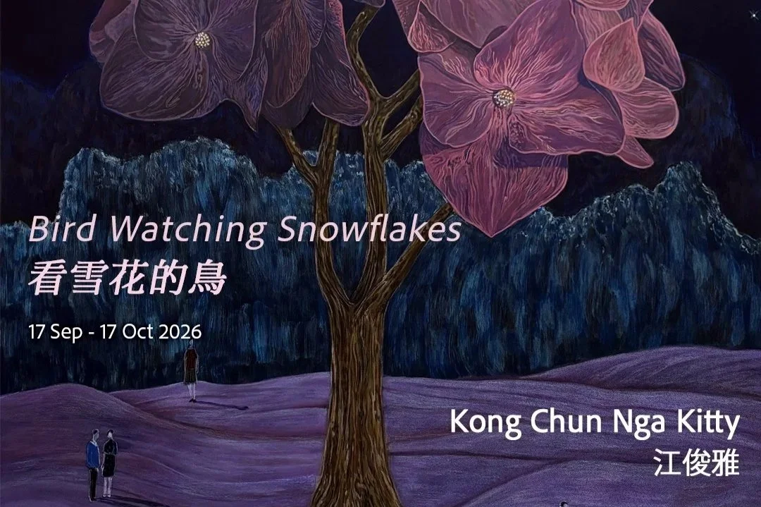 Kitty Kong Chun Nga: Bird Watching  Snowflakes at  Contemporary by Angela Li