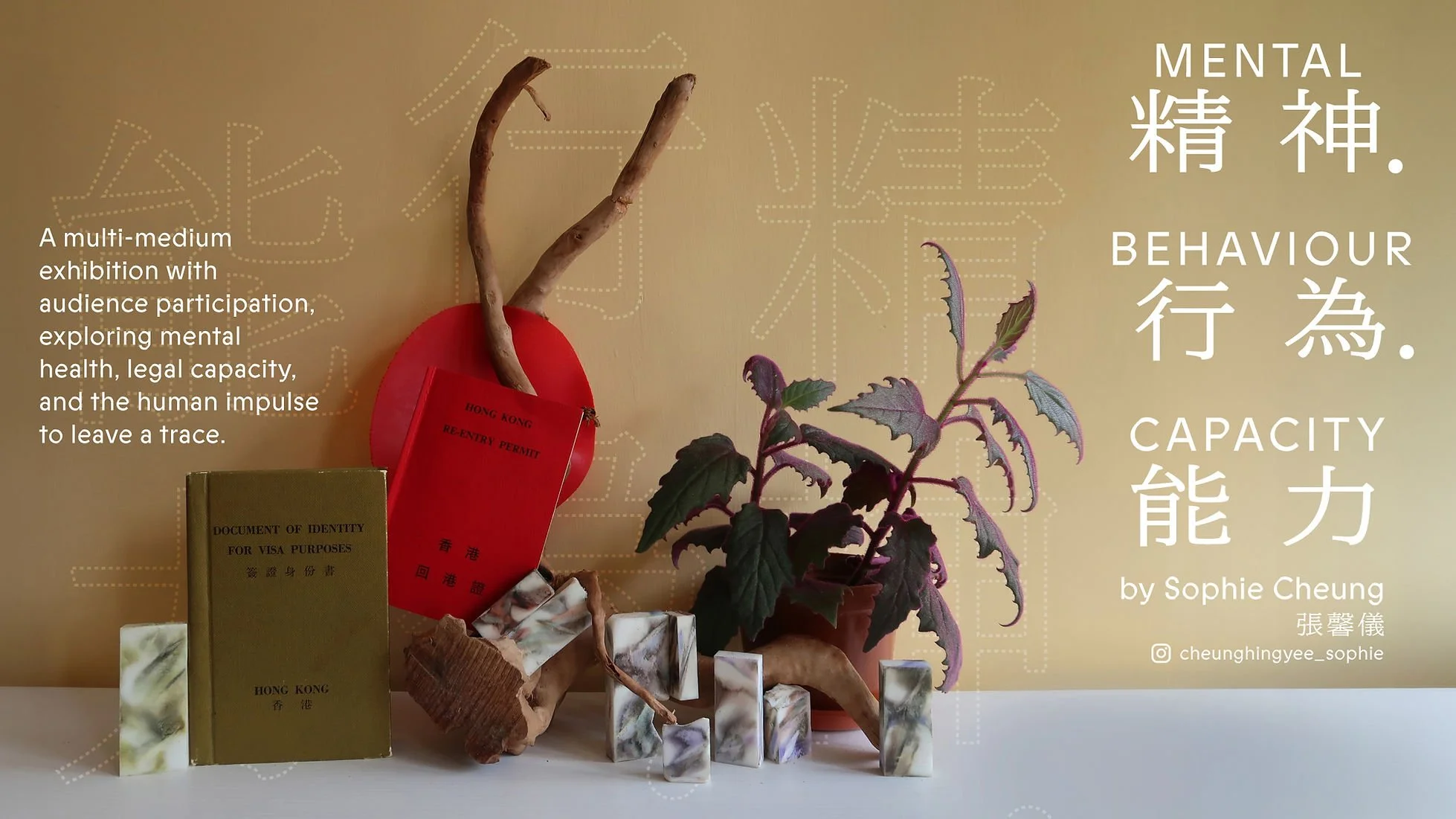 Sophie Cheung: Mental. Behaviour. Capacity at The Corner Shop, Mondrian