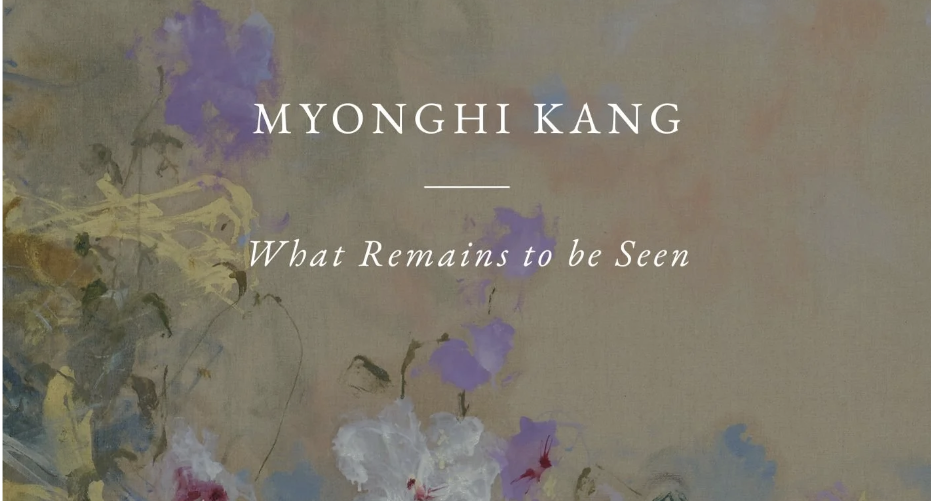Myonghi Kang: What Remains to Be Seen at VILLEPIN