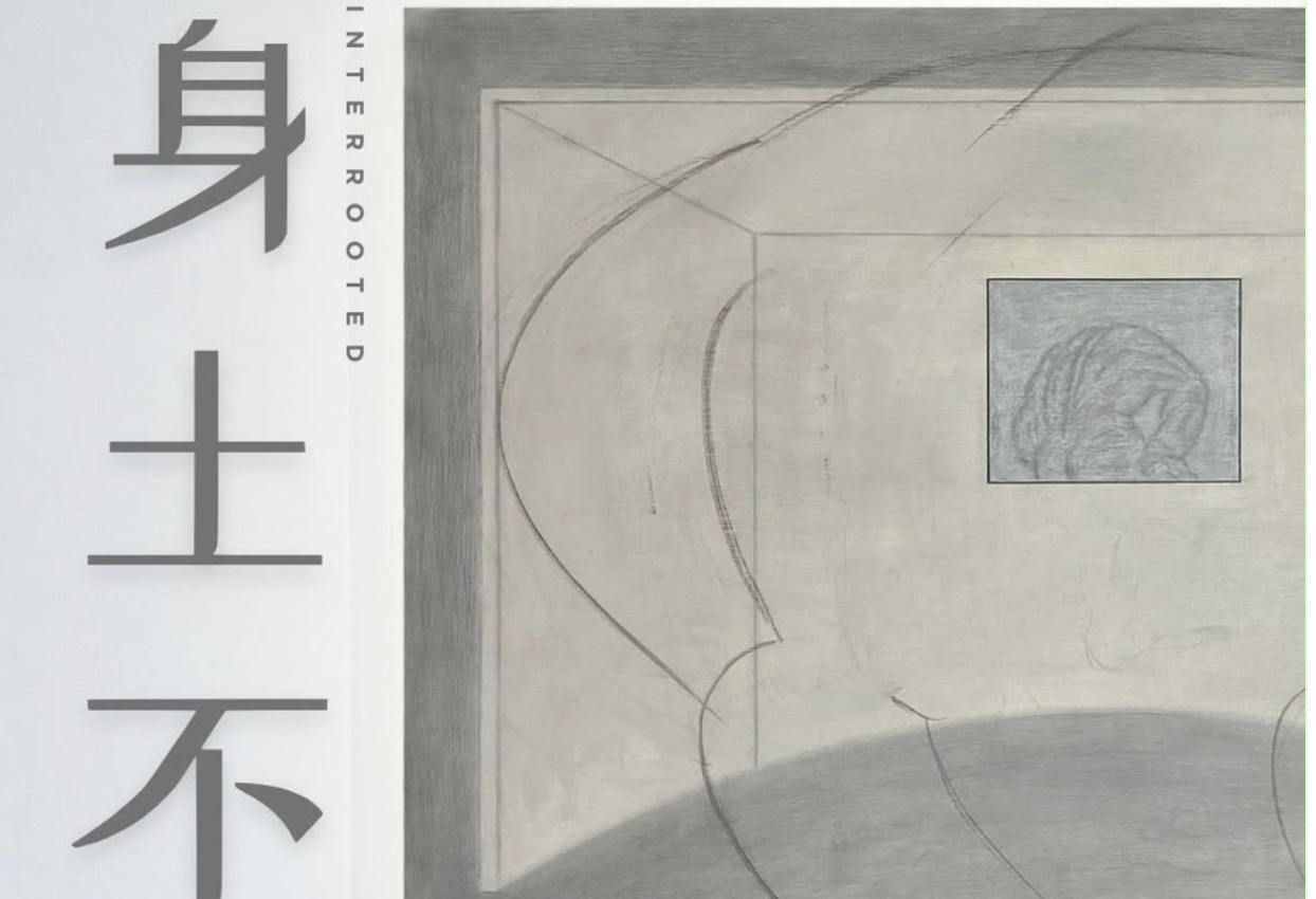 Man Mei-To, Rico Lau: INTERROOTED at SC Gallery 