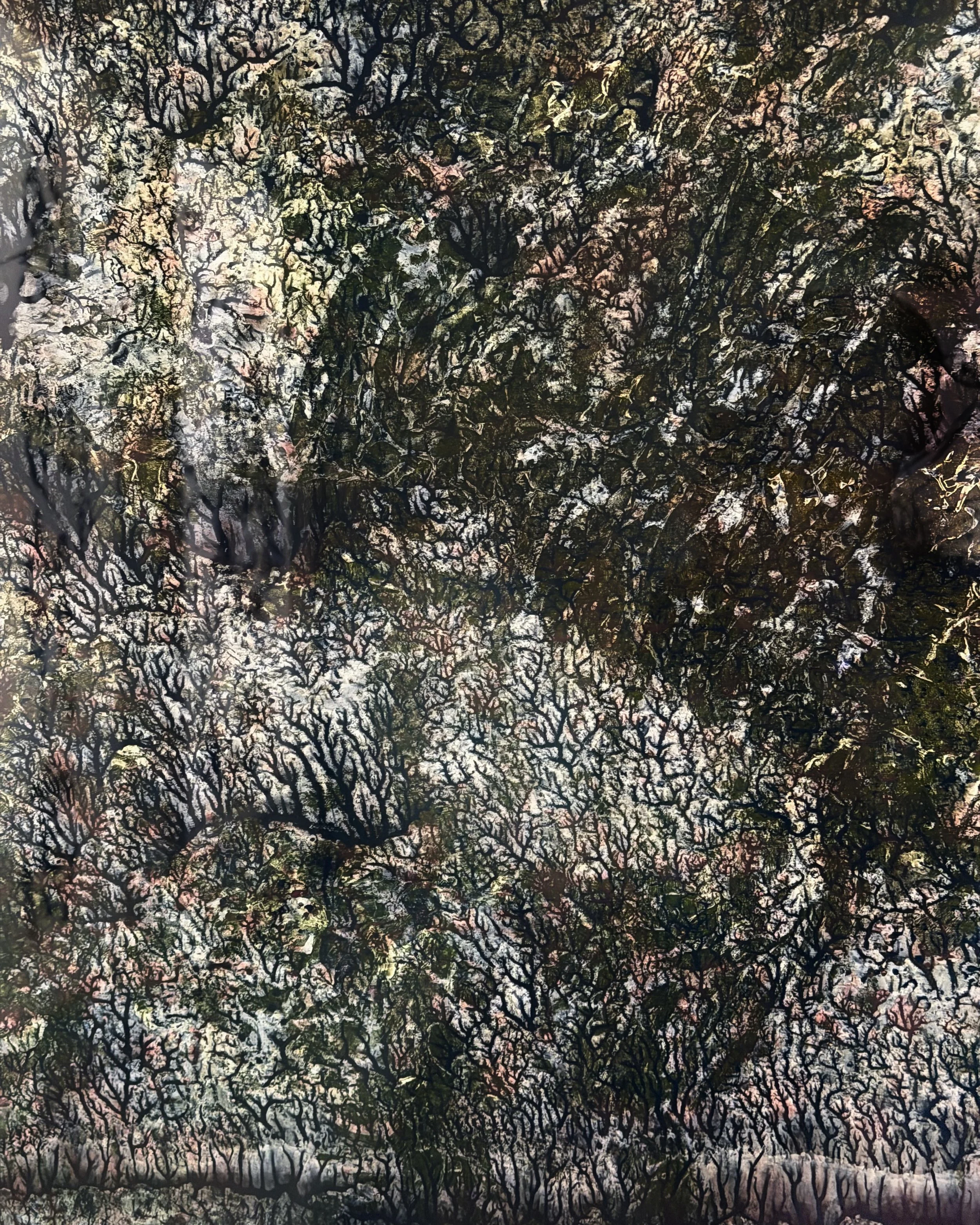 IMG_4288.jpeg