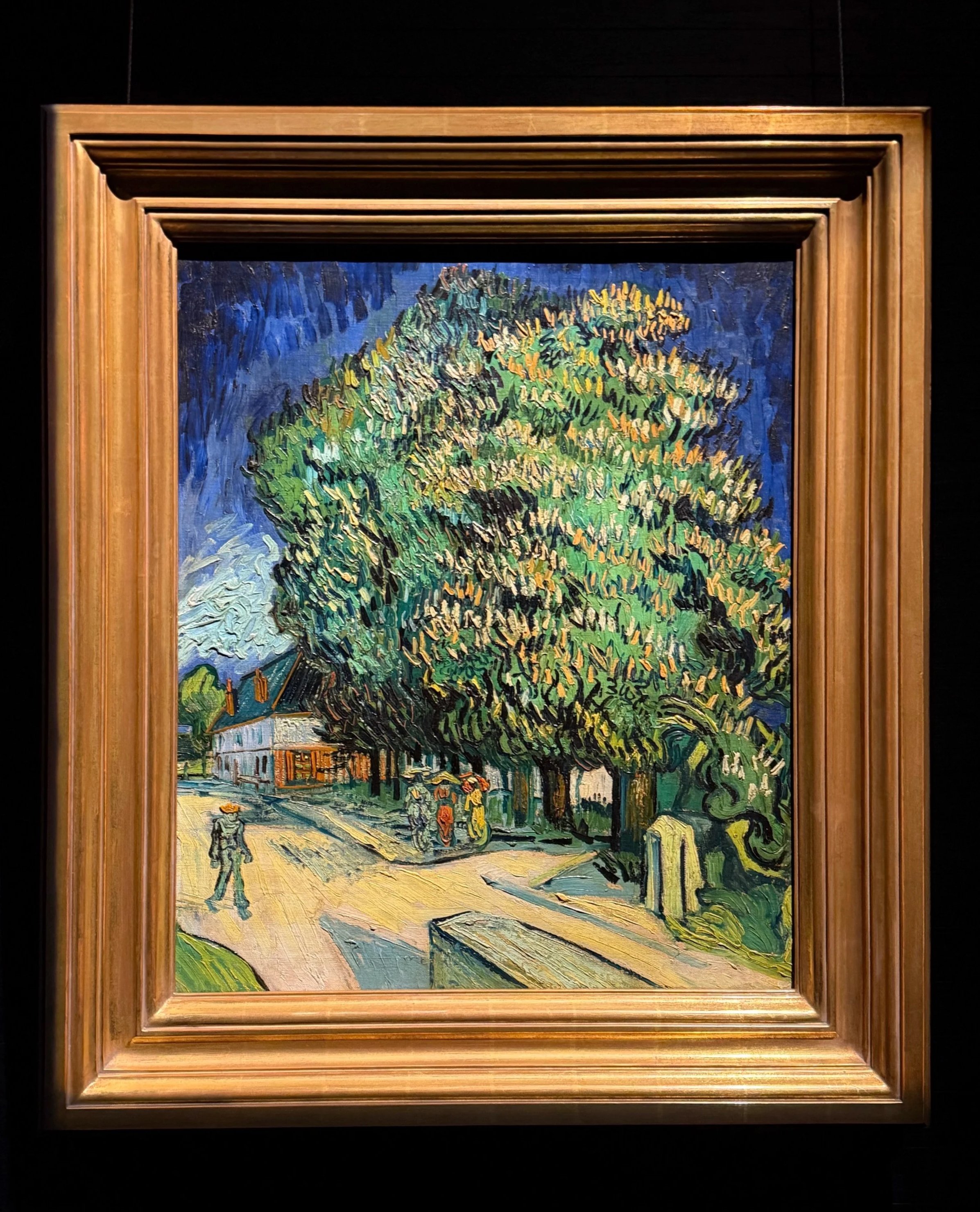 Rare Collection Preview at Sotheby's