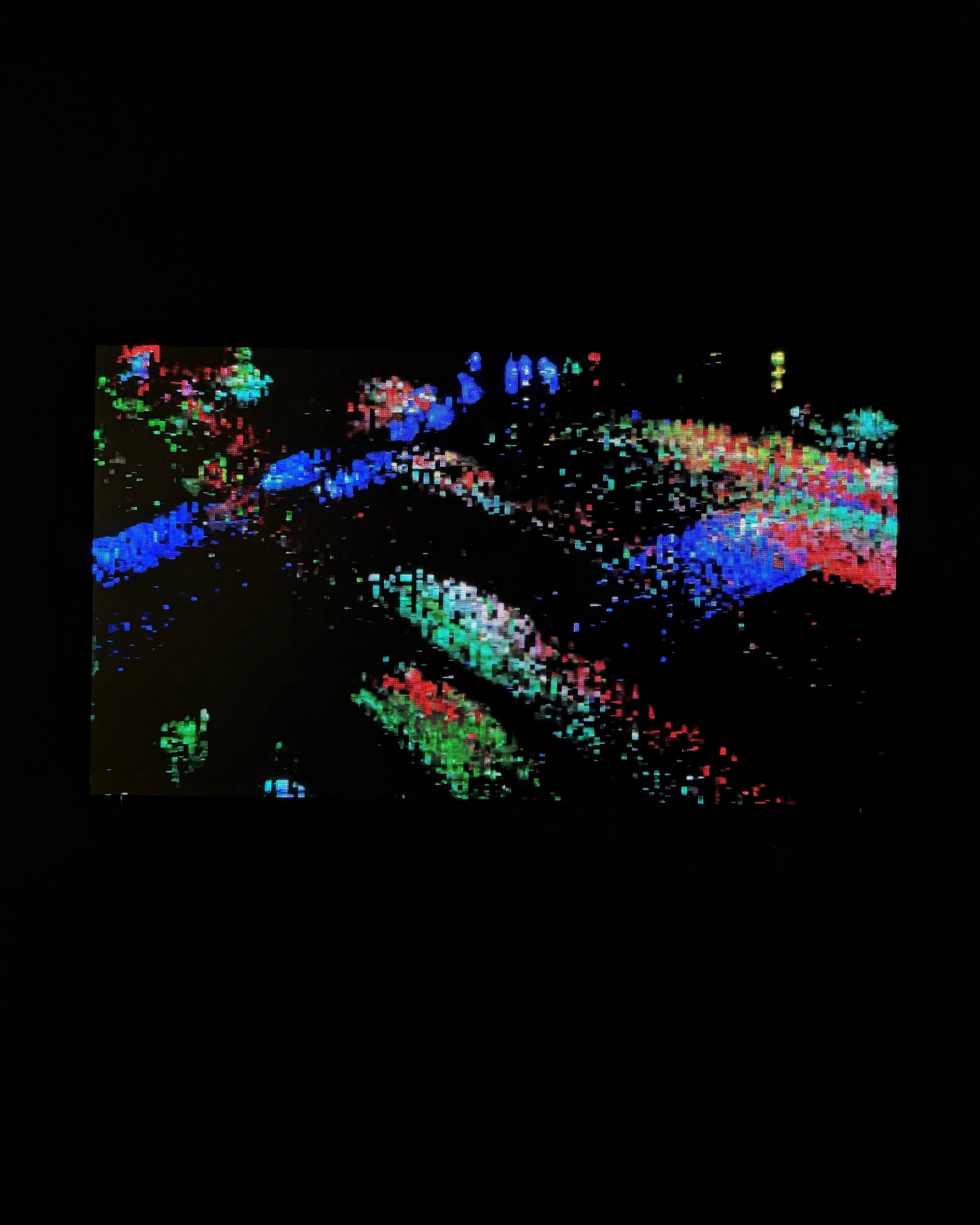 IMG_7924.jpeg