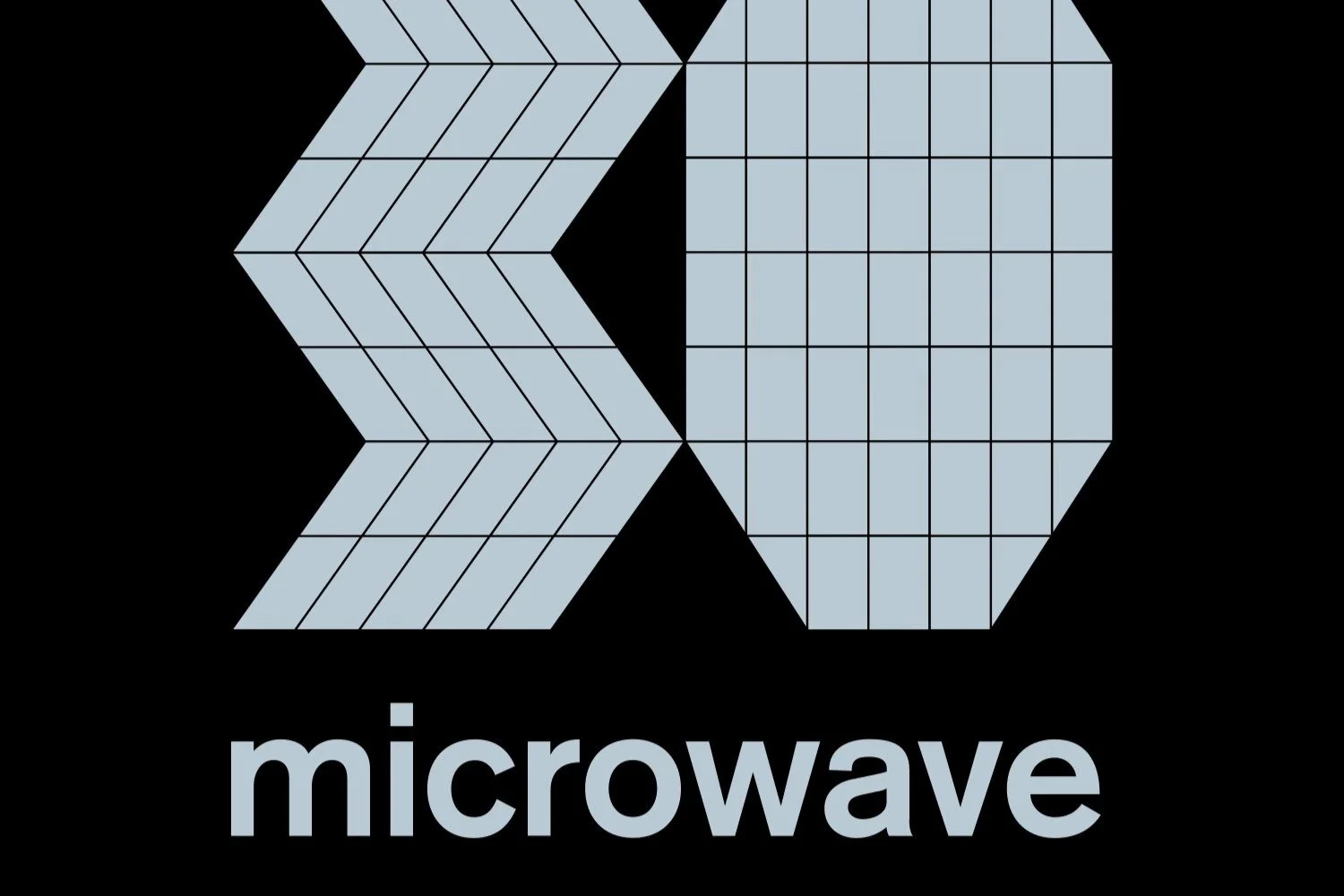 Microwave Arts Festival 2026