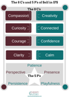 Self in IFS Therapy - what it is, what are the 8 C's and the 5 P's of ...