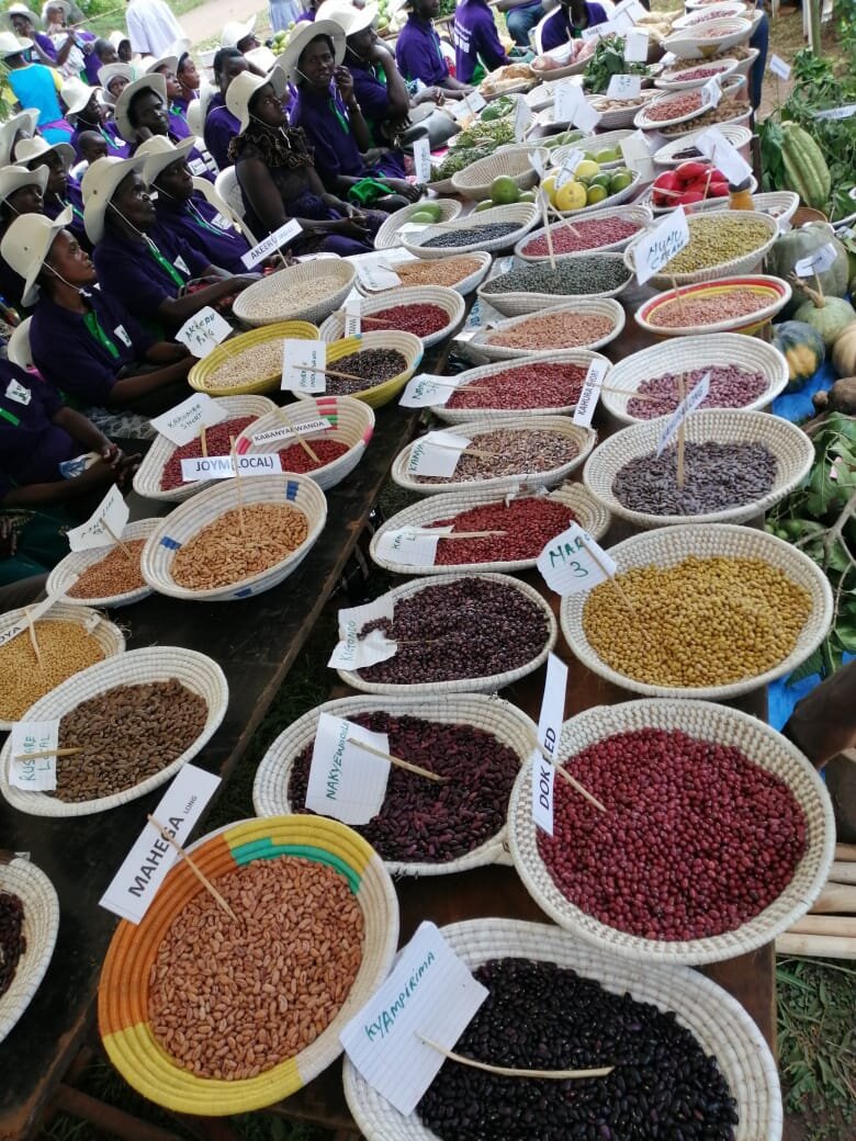 Namirali farmers find success in agrobiodiversity and community