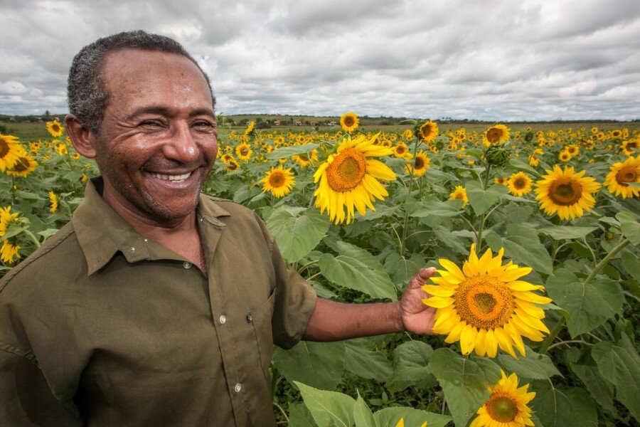 Advancements for Brazil in Agroecology Policy