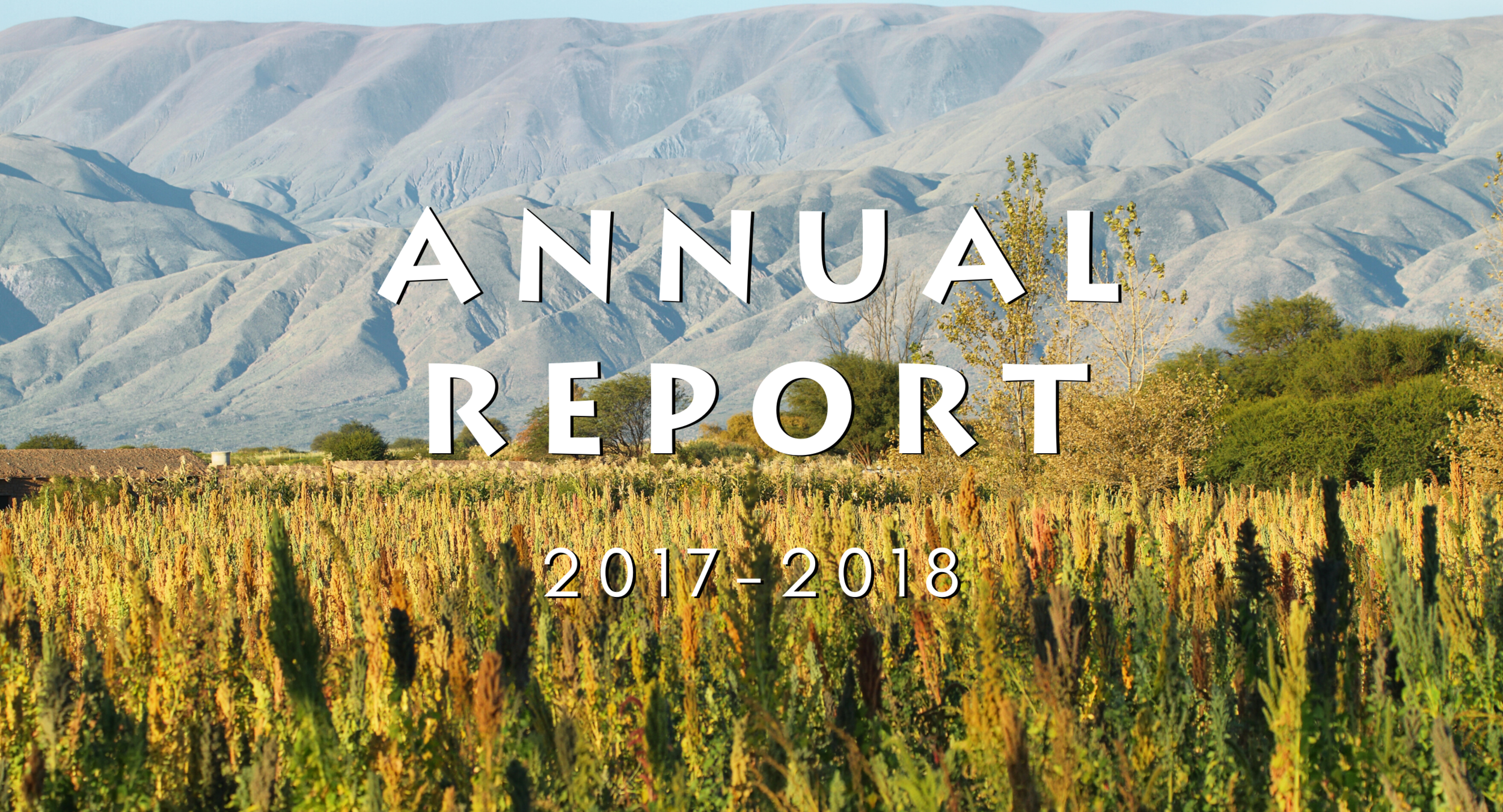 annual report.png