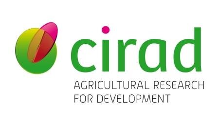 a-new-website-and-a-new-logo-for-cirad_lightbox.jpg