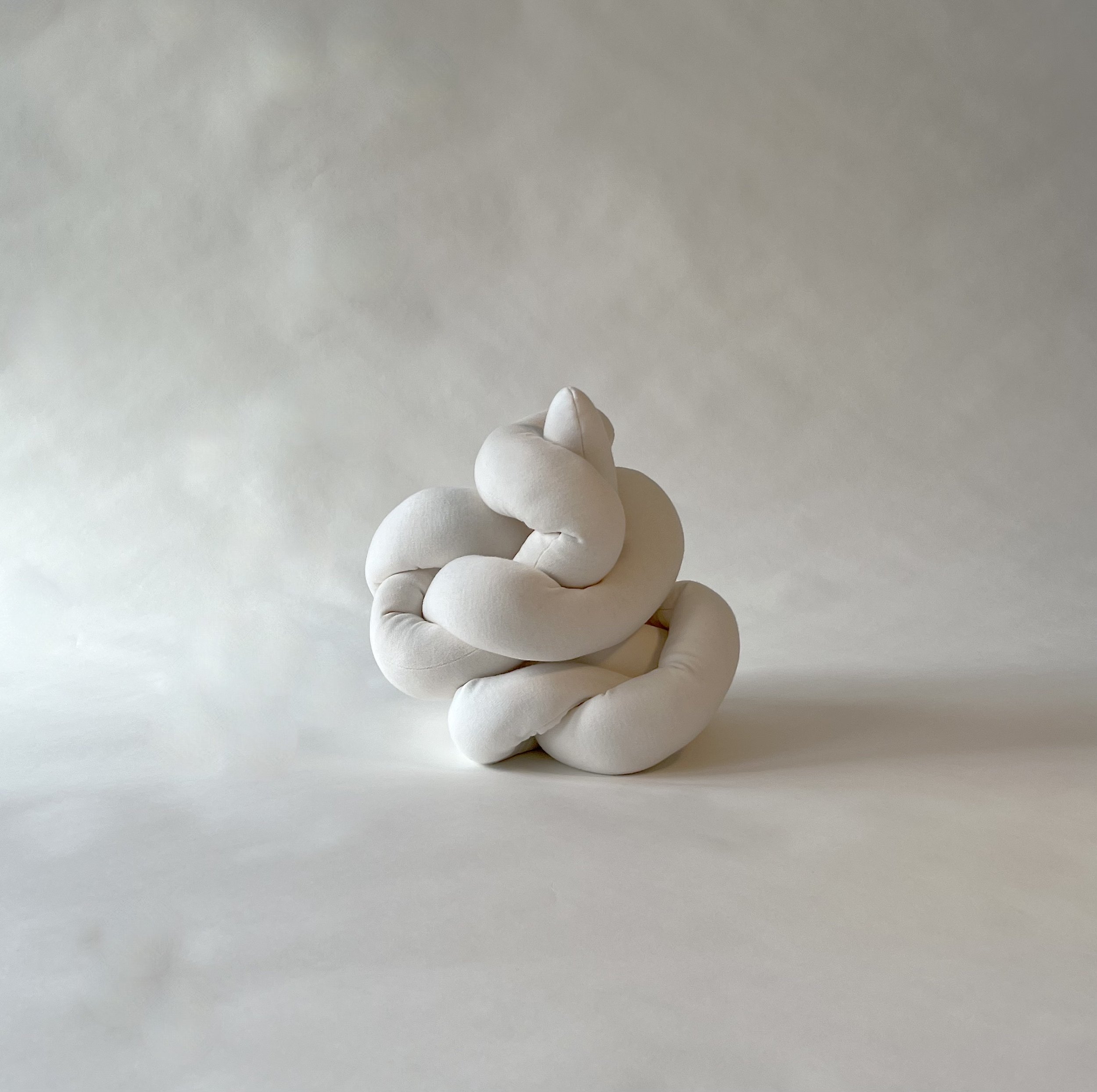 PP.Rise & Fall 2024.jpeg