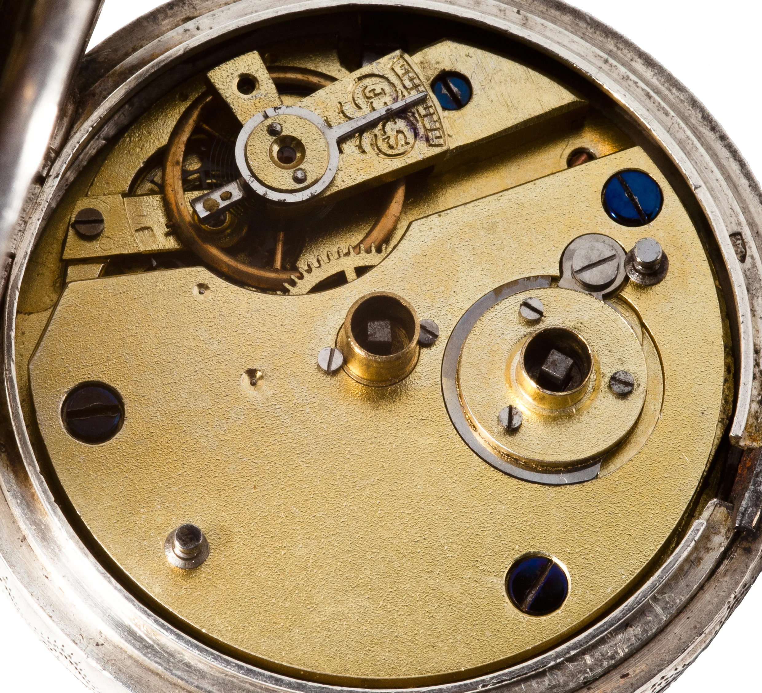 ladies watches at h samuel