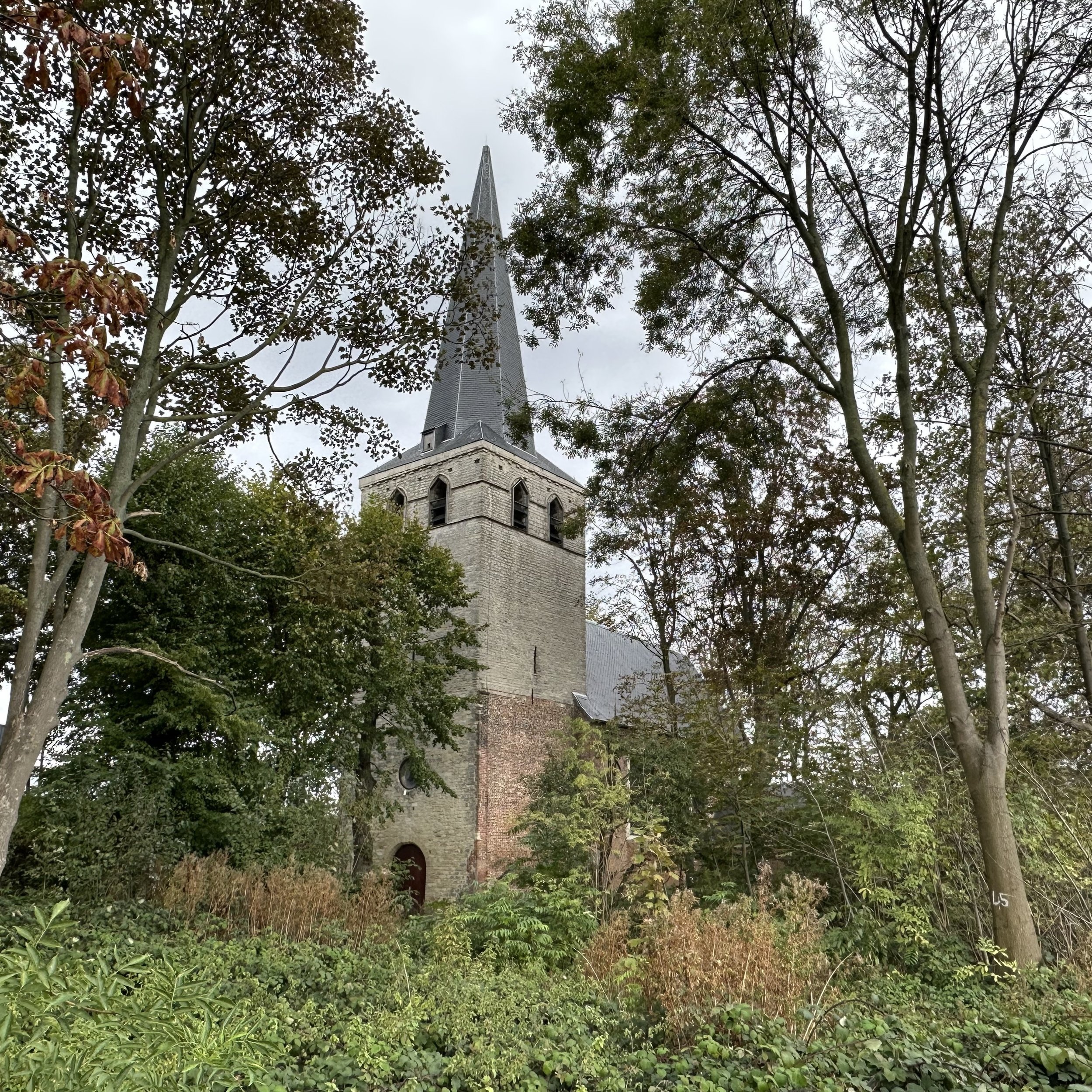 Oosterweelkerk